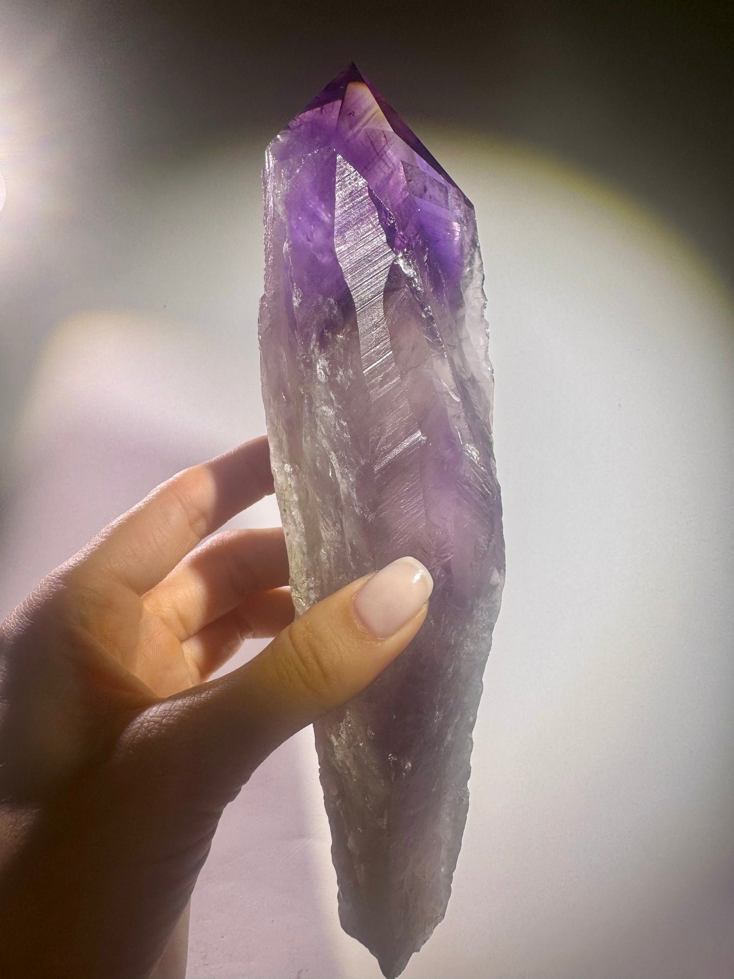 Ametrin Tooth Kristall mit sichtbarem Amethyst, Citrin und Hollandit – einzigartiges Fundstück aus Brasilien