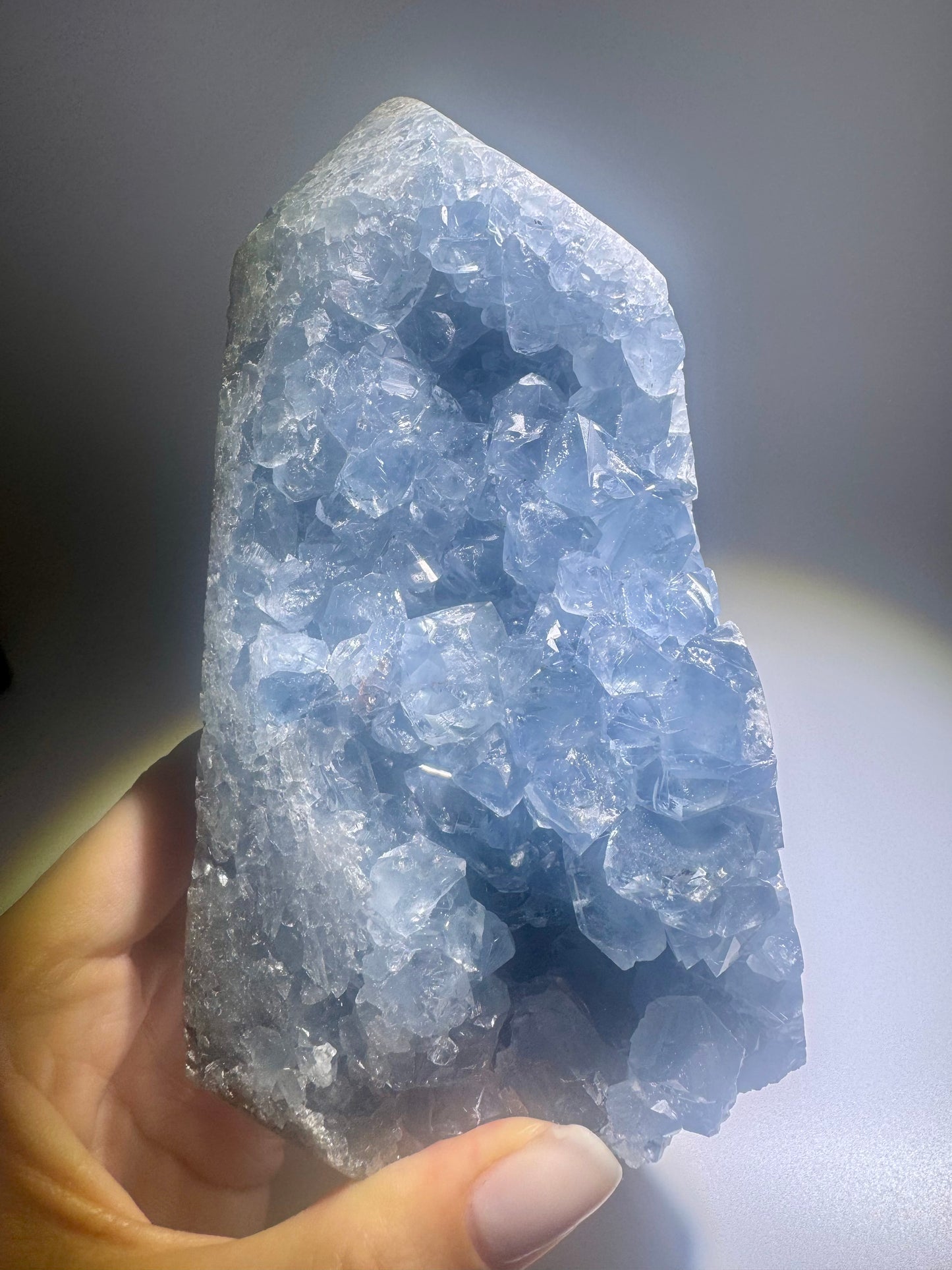 Himmelblaue Celestin-Stufe 14,2 cm mit klaren Spitzen aus Madagaskar – 1,19 kg
