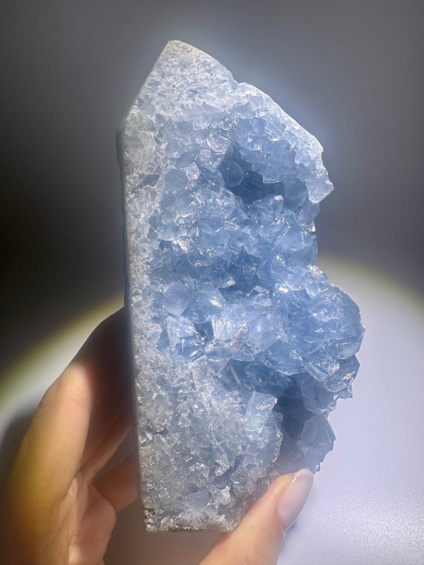 Himmelblaue Celestin-Stufe 14,2 cm mit klaren Spitzen aus Madagaskar – 1,19 kg