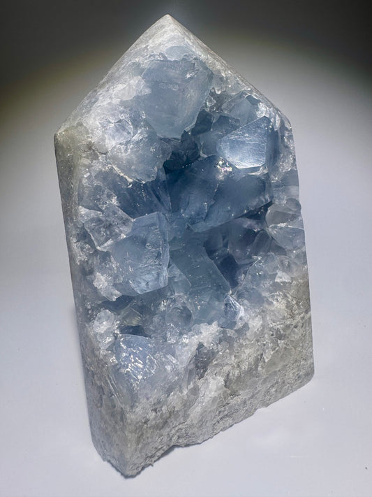 Celestin Spitze 9.9cm – extra klare Kristalle in Premiumqualität aus Madagaskar