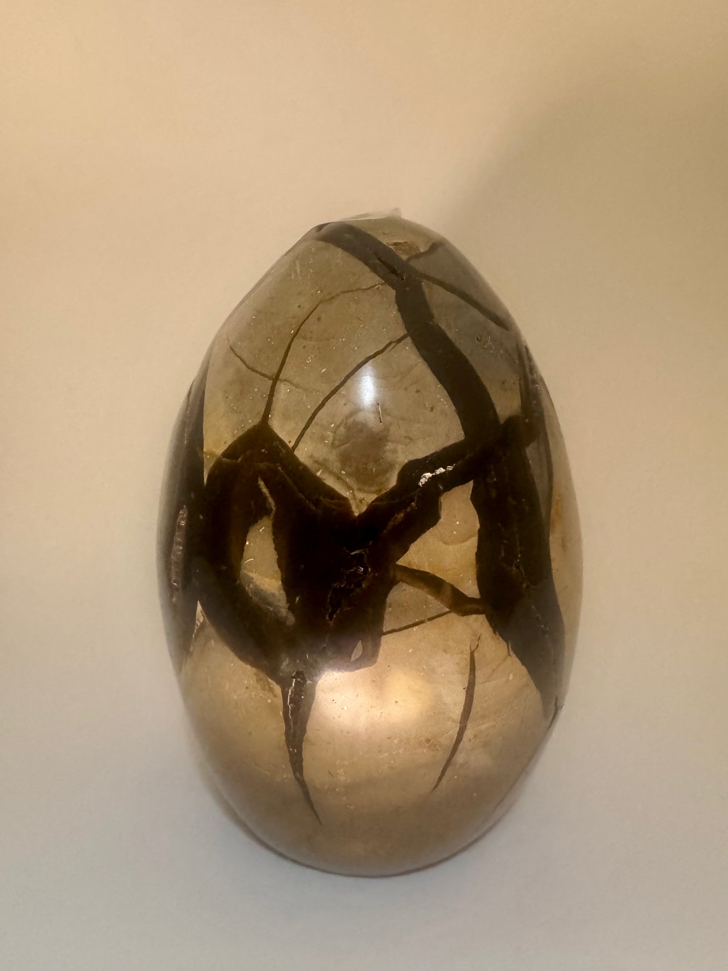 Septarien Drachenstein 12.4cm – Funkelnde Formation aus Madagaskar 🐉 Naturkristall mit Calcit & Aragonit