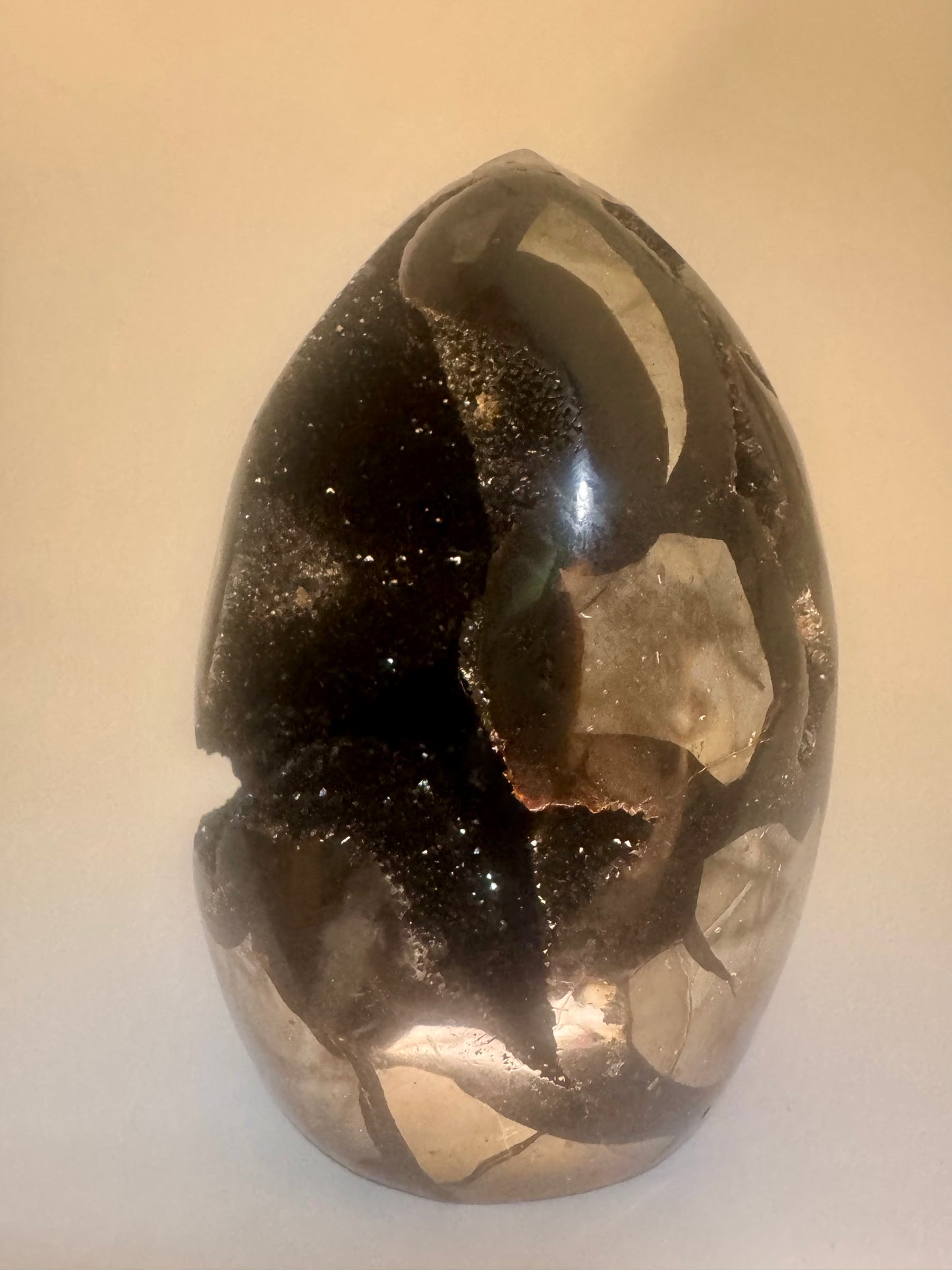 Septarien Drachenstein 12.4cm – Funkelnde Formation aus Madagaskar 🐉 Naturkristall mit Calcit & Aragonit