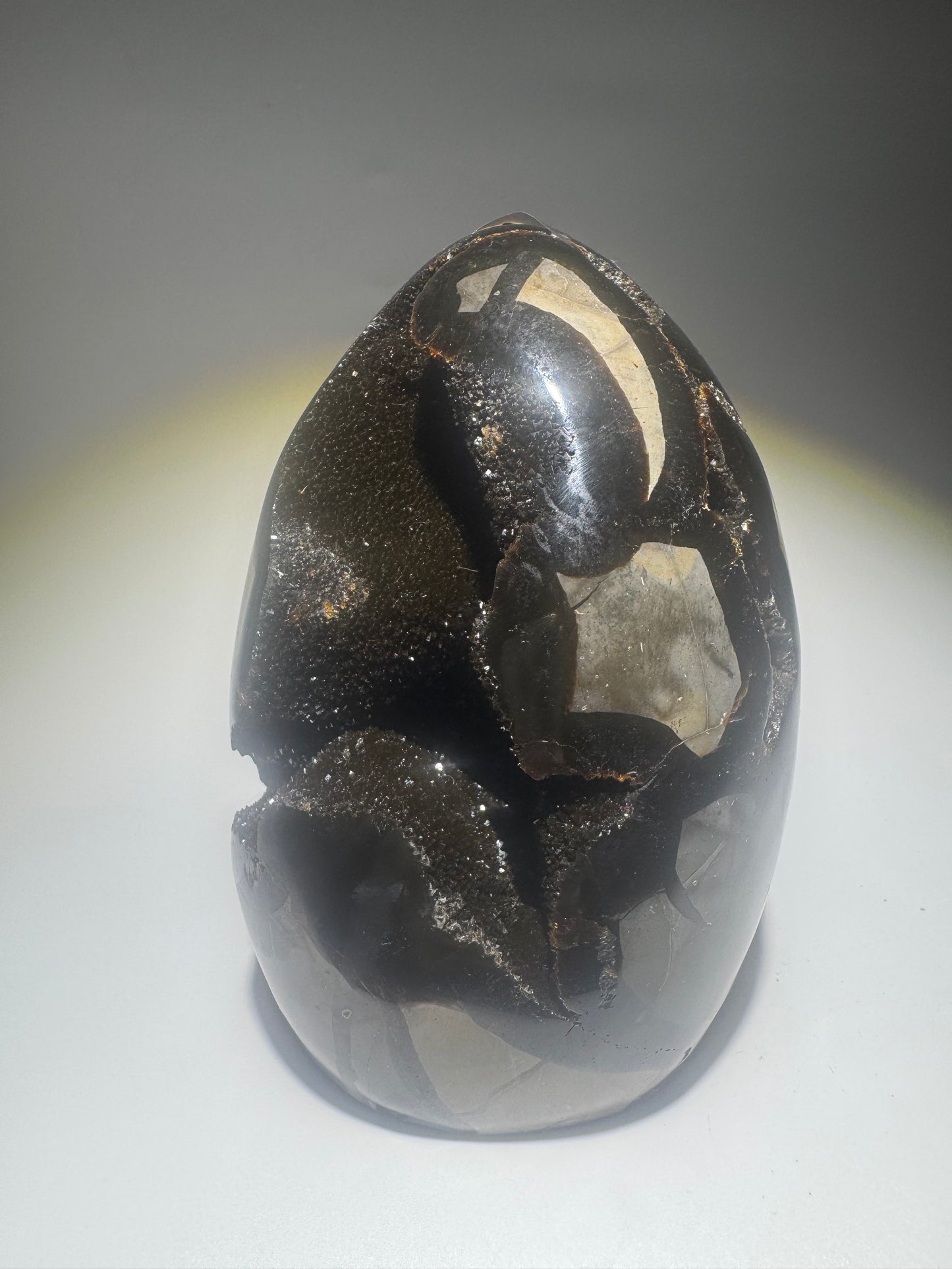 Septarien Drachenstein 12.4cm – Funkelnde Formation aus Madagaskar 🐉 Naturkristall mit Calcit & Aragonit