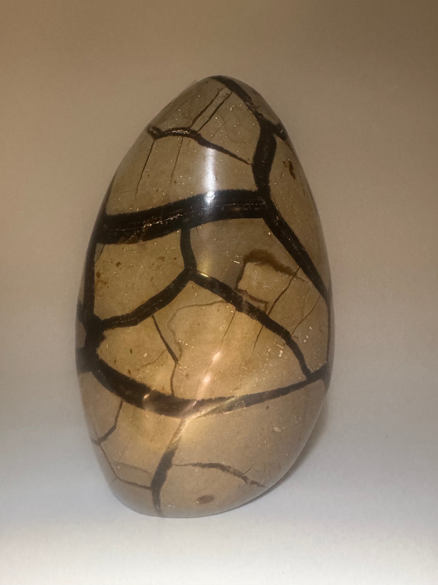 Septarien Drachenstein 12.3cm – Funkelnde Formation aus Madagaskar 🐉 Naturkristall mit Calcit & Aragonit