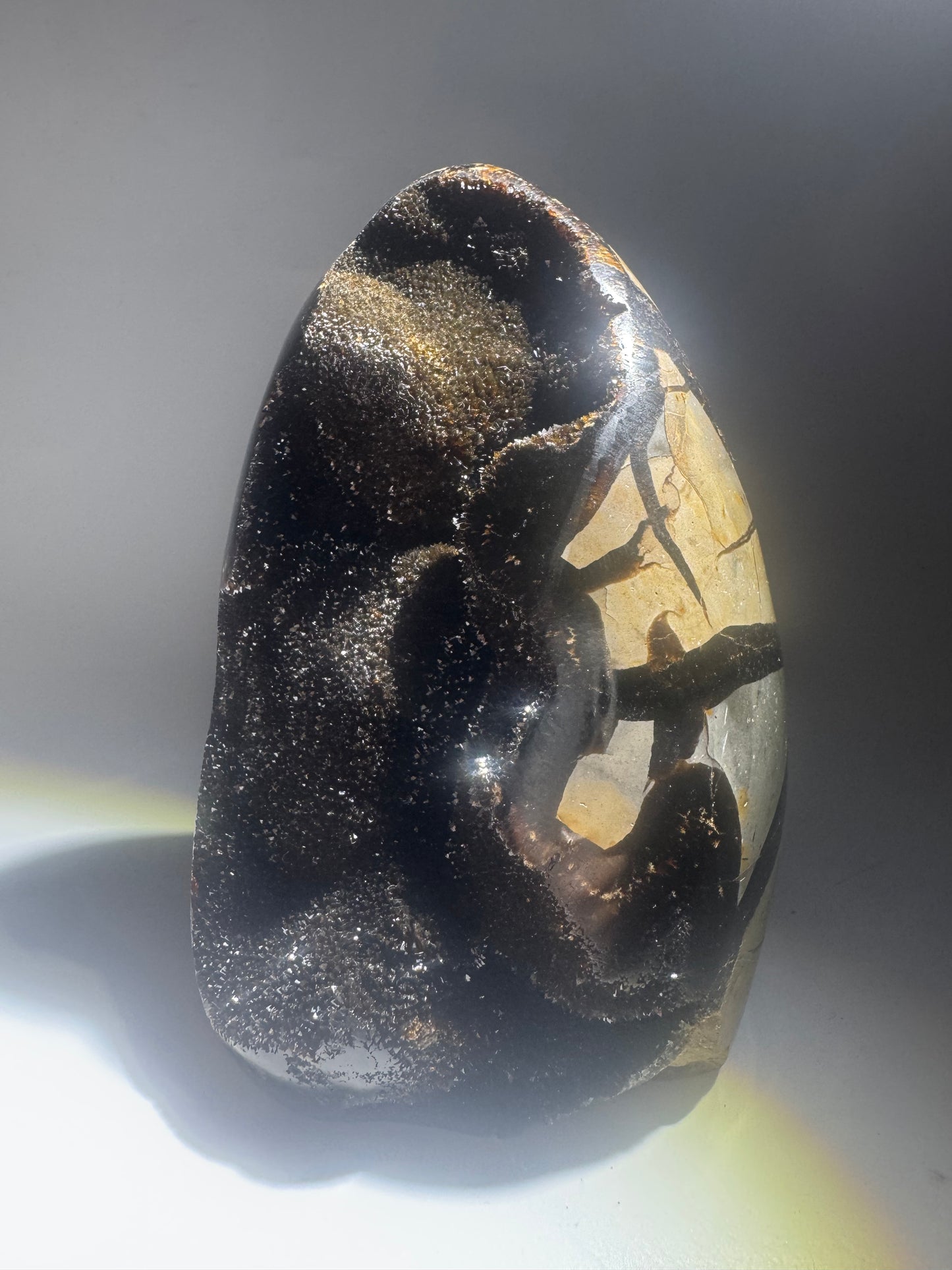 Septarien Drachenstein 12.3cm – Funkelnde Formation aus Madagaskar 🐉 Naturkristall mit Calcit & Aragonit