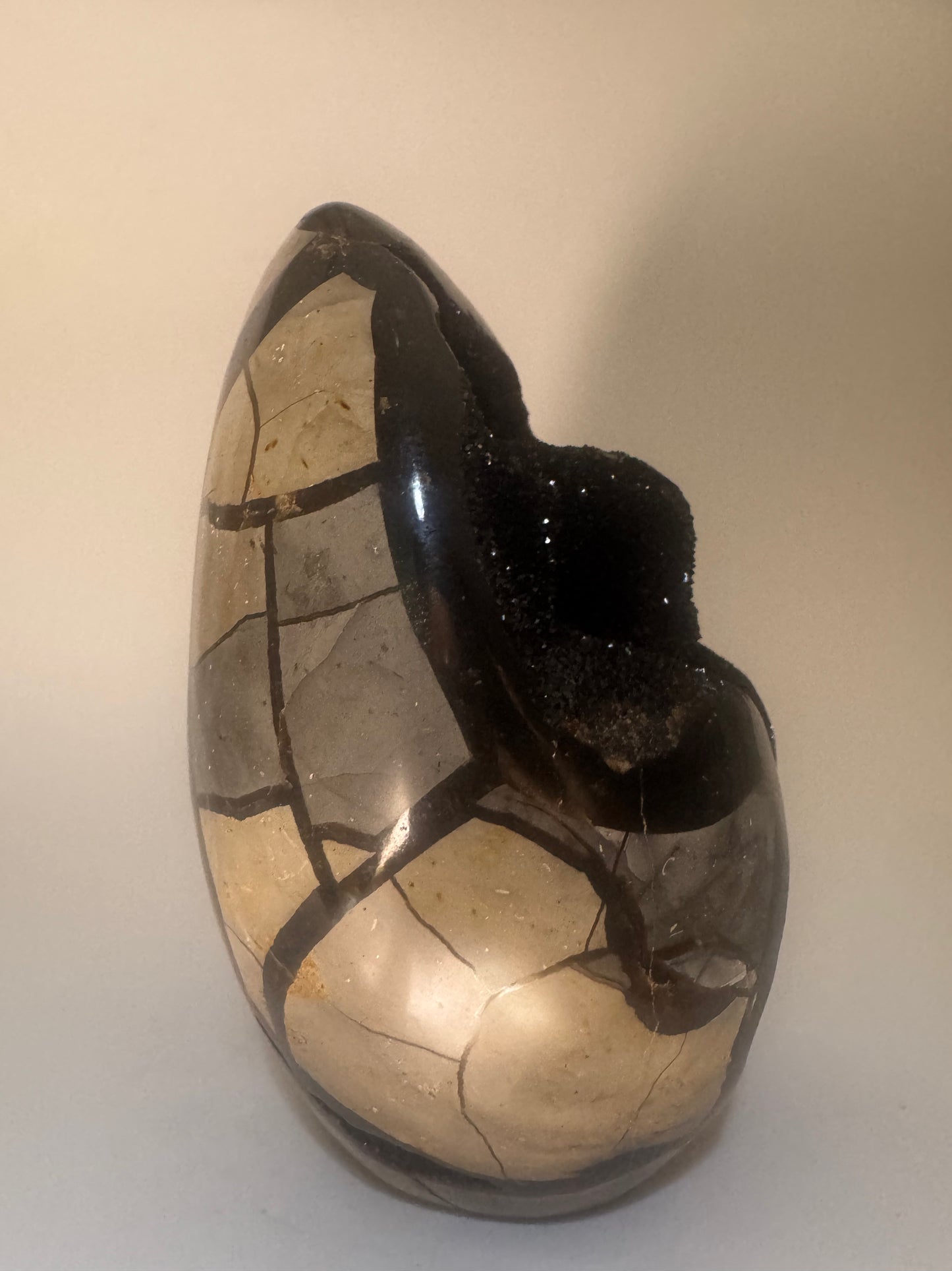 Septarien Drachenstein 13.4 cm – Funkelnde Formation aus Madagaskar 🐉 Naturkristall mit Calcit & Aragonit