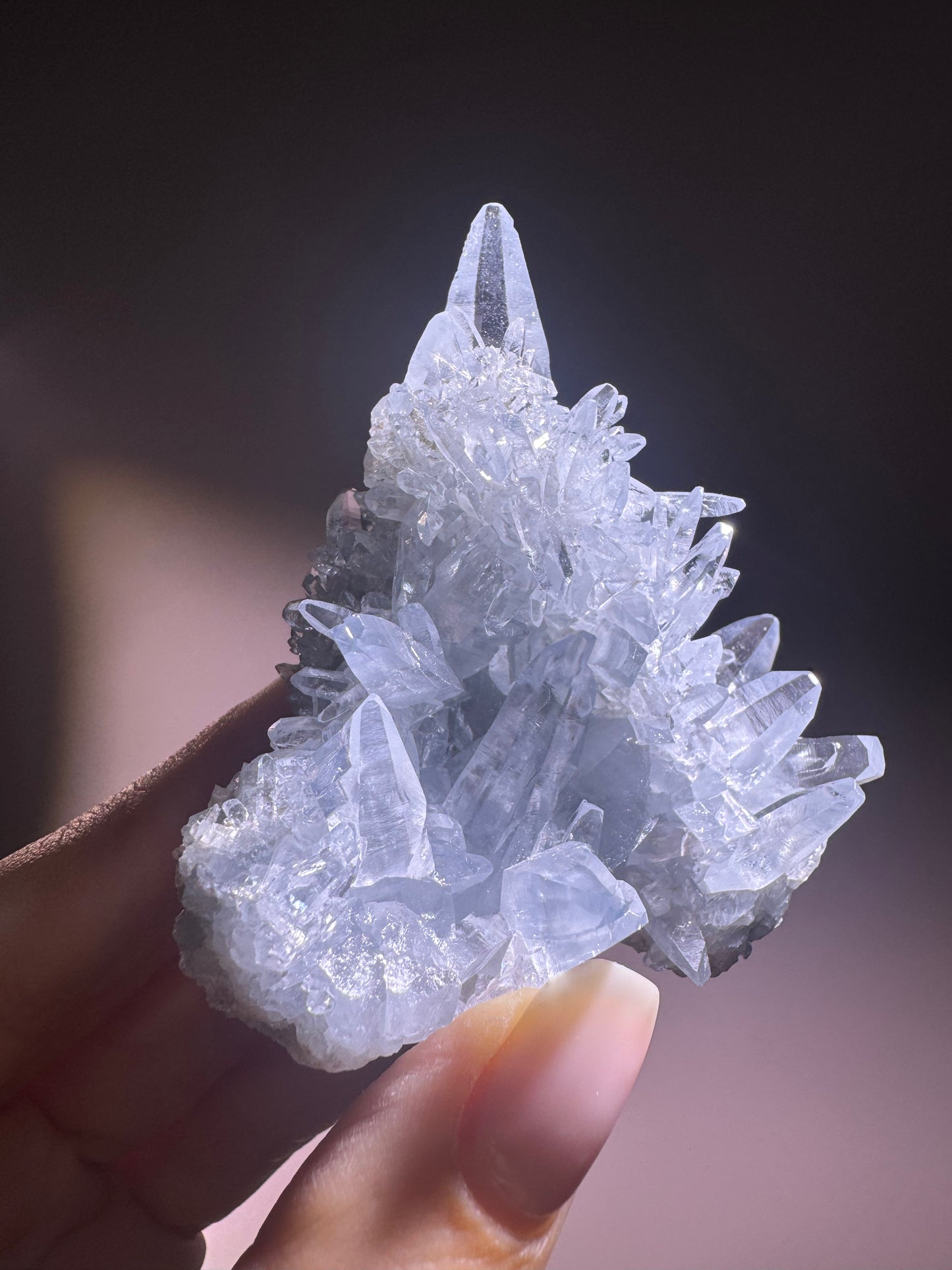 Celestin Stufe aus Madagaskar 💎 Klar & funkelnd – Kristall mit transparenten Spitzen ✨ Museumsqualität 6,5 cm