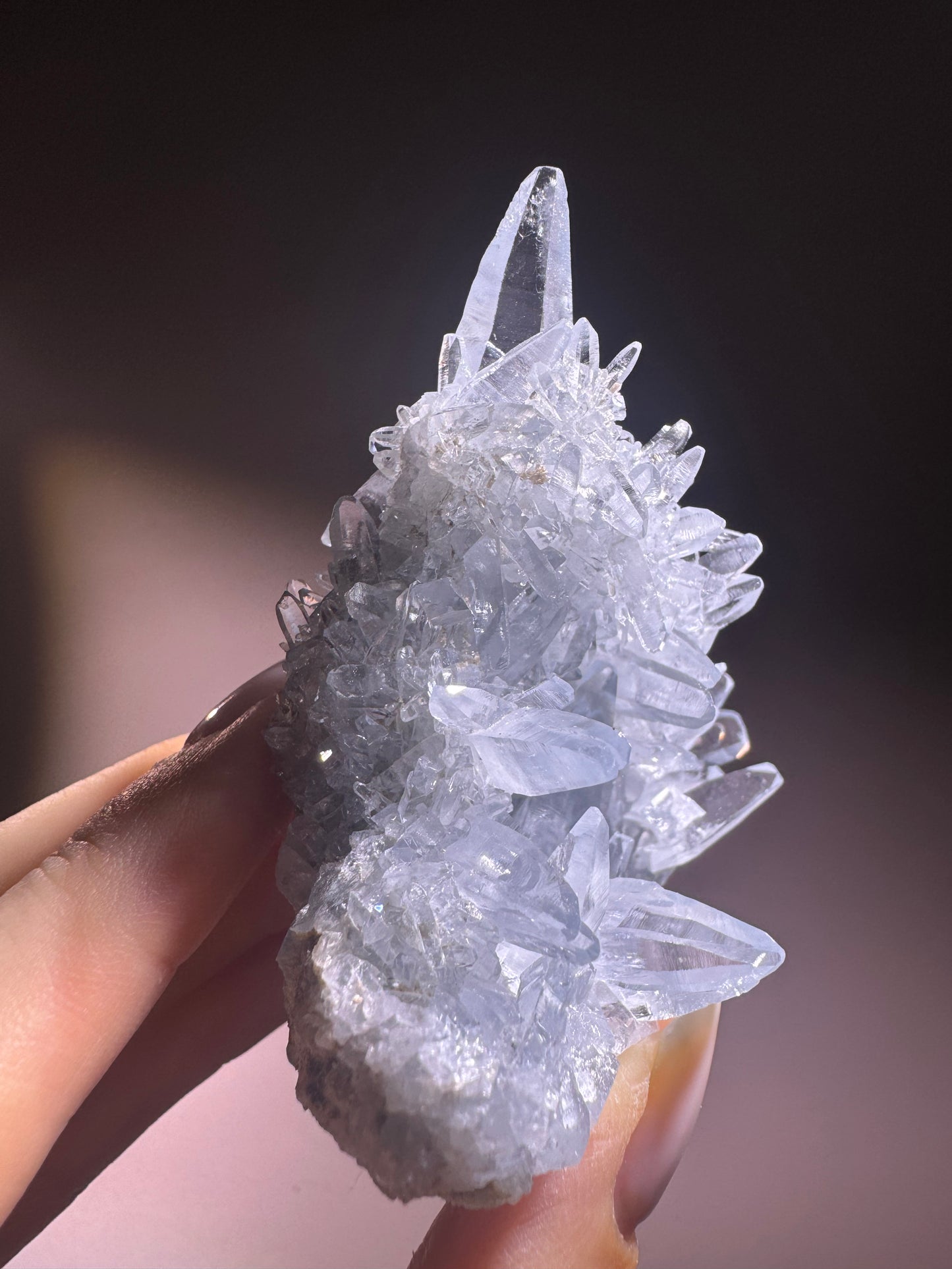 Celestin Stufe aus Madagaskar 💎 Klar & funkelnd – Kristall mit transparenten Spitzen ✨ Museumsqualität 6,5 cm