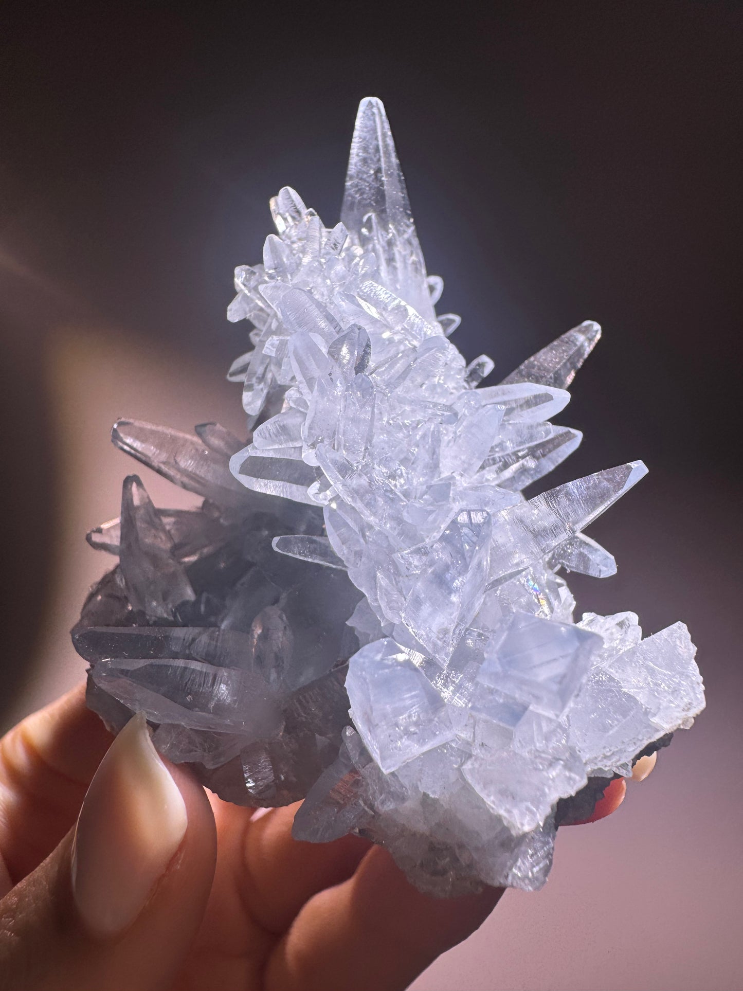 Celestin Stufe aus Madagaskar 💎 Klar & funkelnd – Kristall mit transparenten Spitzen ✨ Museumsqualität 6,5 cm