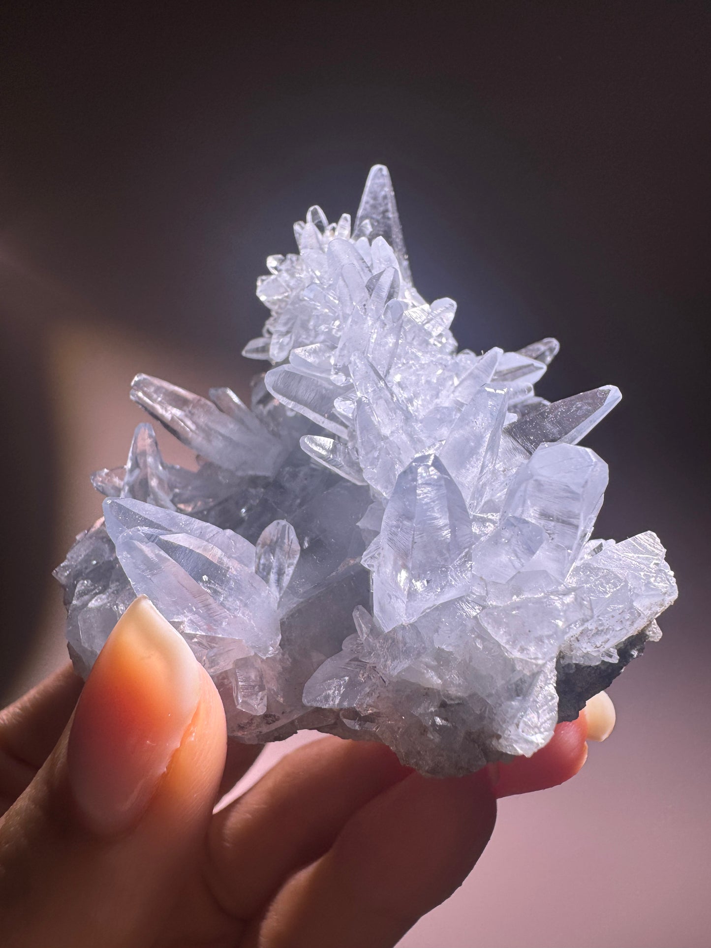 Celestin Stufe aus Madagaskar 💎 Klar & funkelnd – Kristall mit transparenten Spitzen ✨ Museumsqualität 6,5 cm