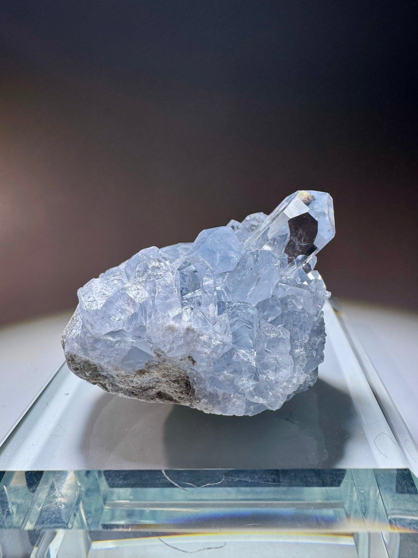 Celestin Kristall Madagaskar – klare Spitzen in Museumsqualität, 4cm