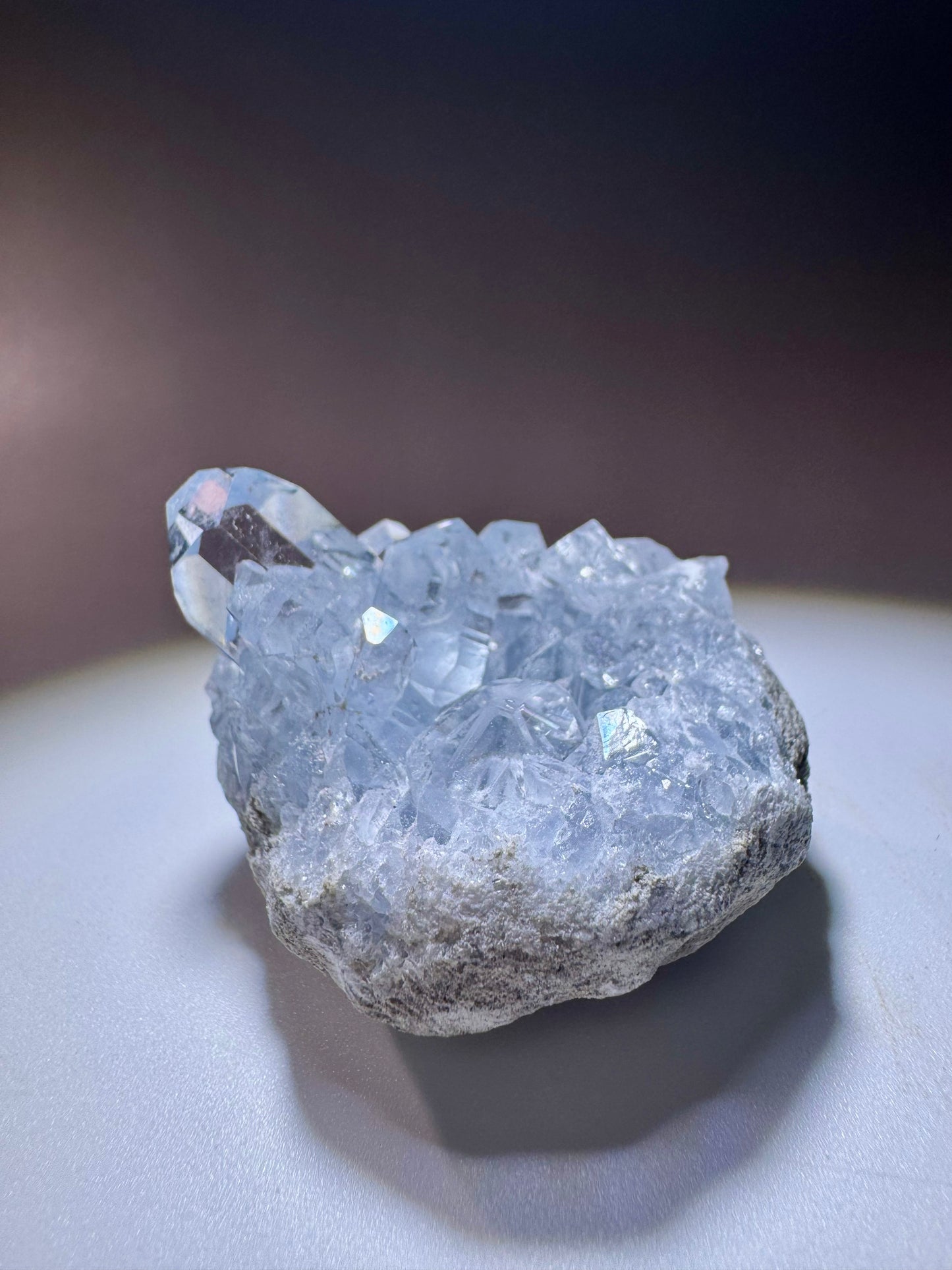 Celestin Kristall Madagaskar – klare Spitzen in Museumsqualität, 4cm