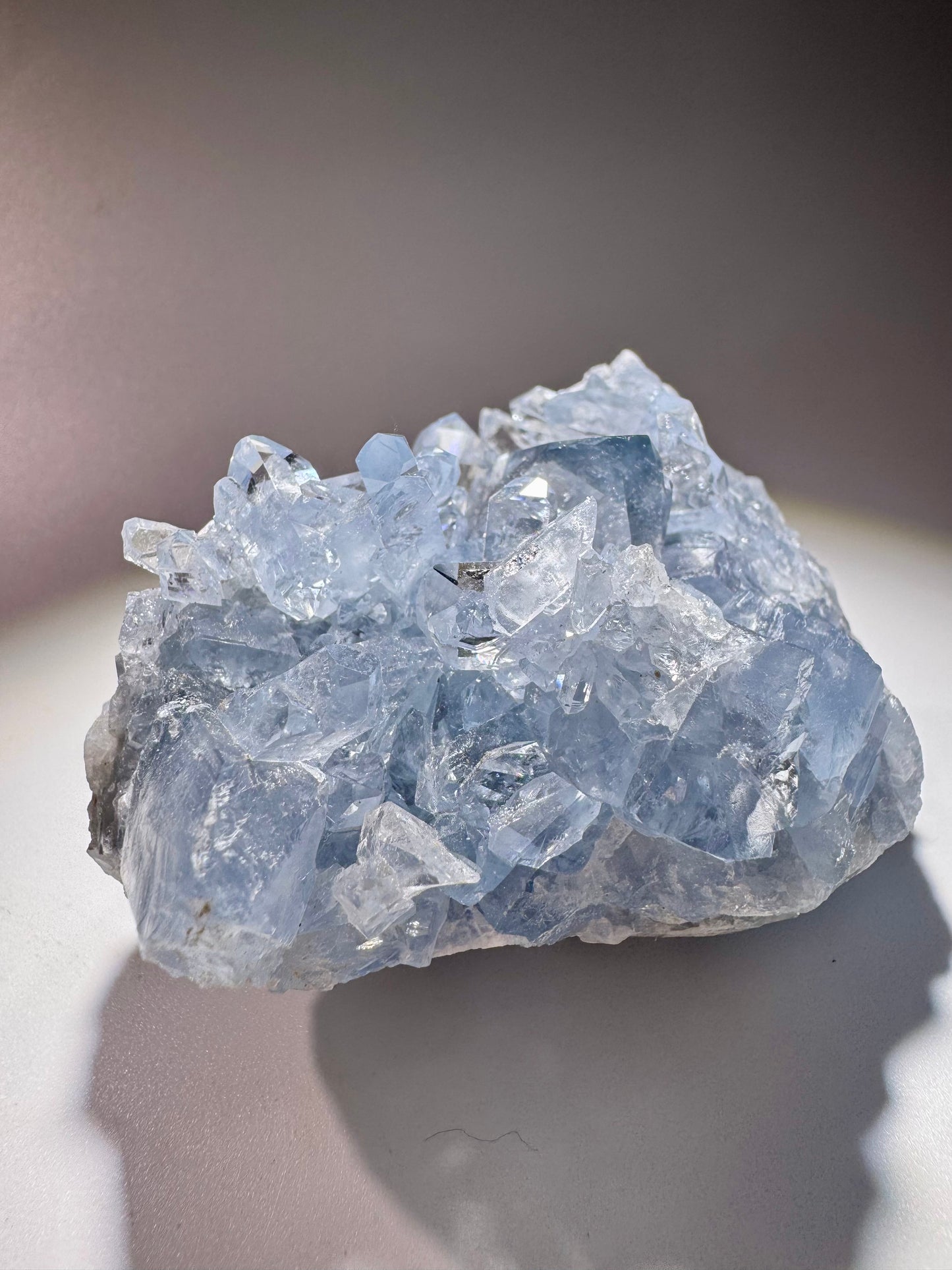 Celestin Stufe aus Madagaskar 💎 Klar & funkelnd – Kristall mit transparenten Spitzen ✨ Museumsqualität 7.7cm