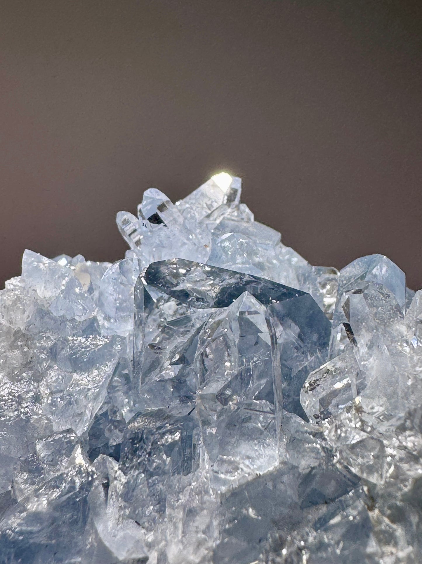Celestin Stufe aus Madagaskar 💎 Klar & funkelnd – Kristall mit transparenten Spitzen ✨ Museumsqualität 7.7cm
