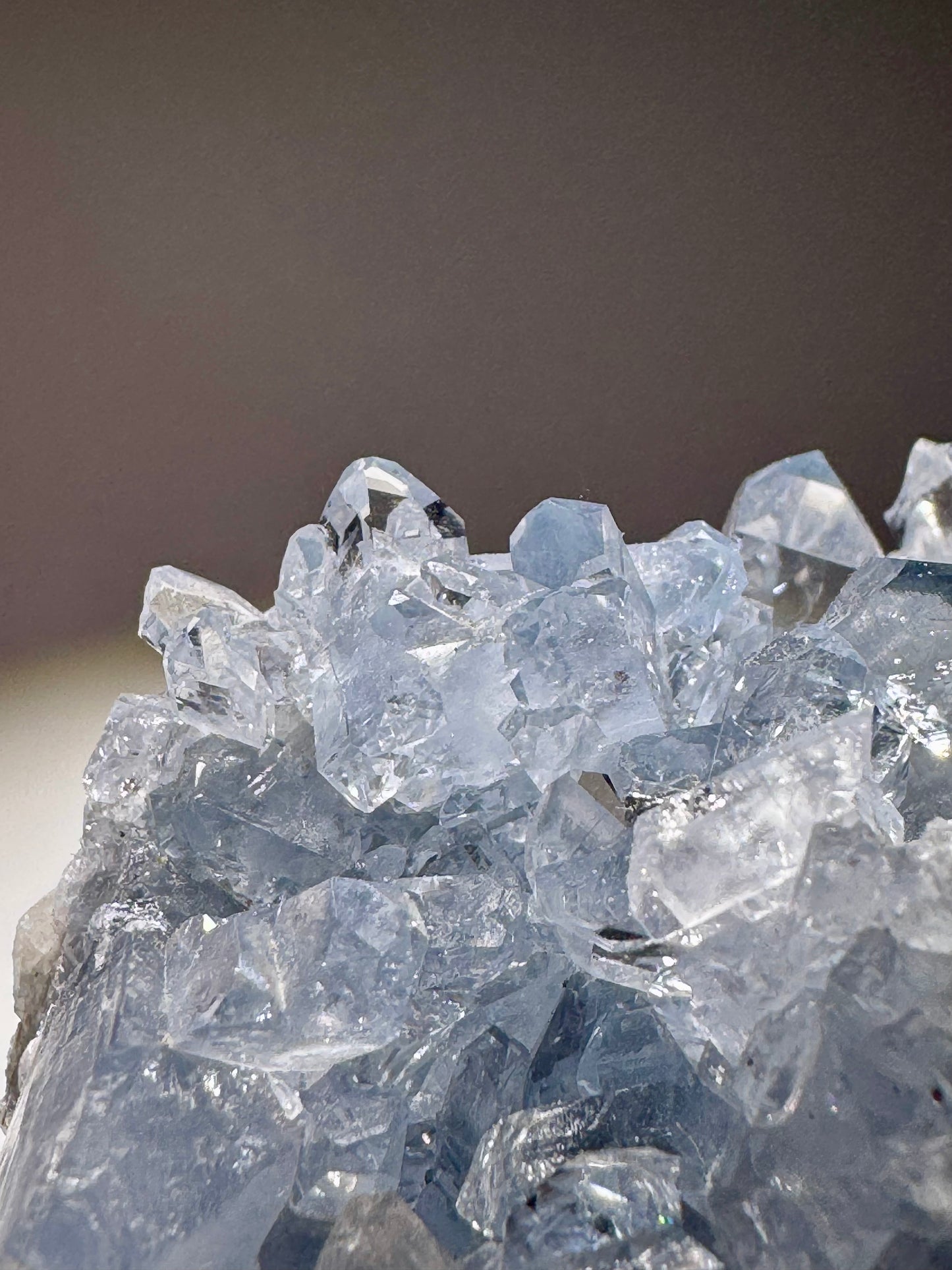 Celestin Stufe aus Madagaskar 💎 Klar & funkelnd – Kristall mit transparenten Spitzen ✨ Museumsqualität 7.7cm
