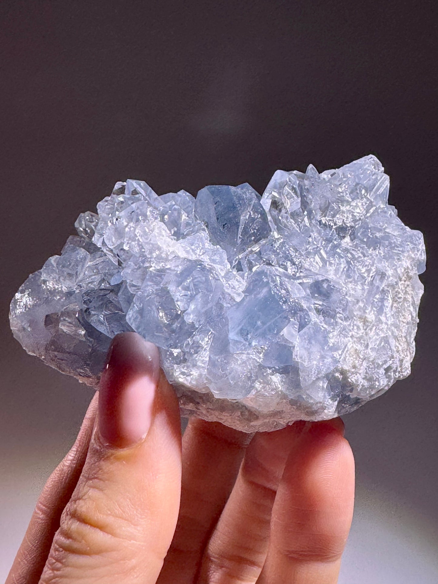 Celestin Stufe aus Madagaskar 💎 Klar & funkelnd – Kristall mit transparenten Spitzen ✨ Museumsqualität 7.7cm