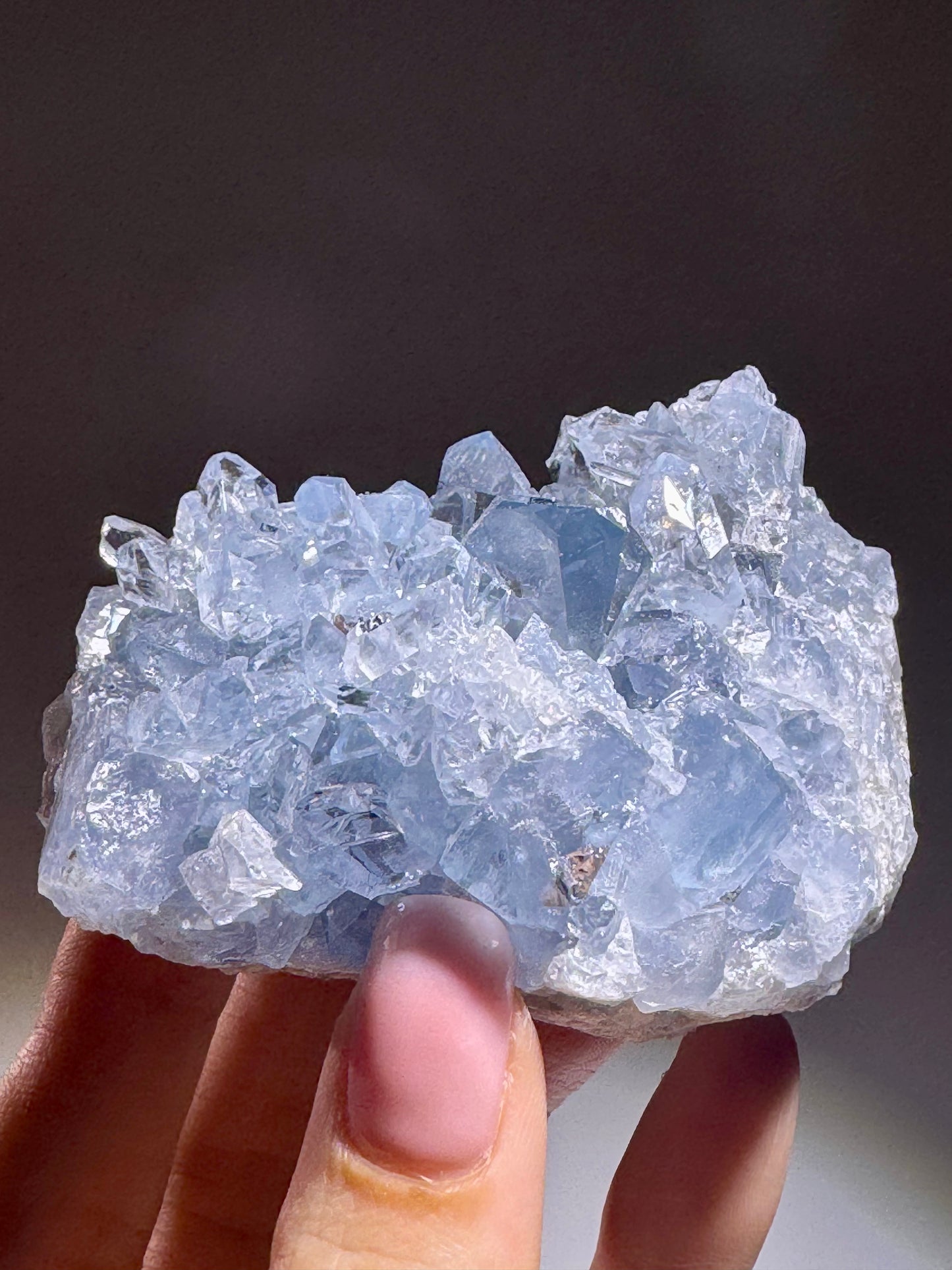 Celestin Stufe aus Madagaskar 💎 Klar & funkelnd – Kristall mit transparenten Spitzen ✨ Museumsqualität 7.7cm