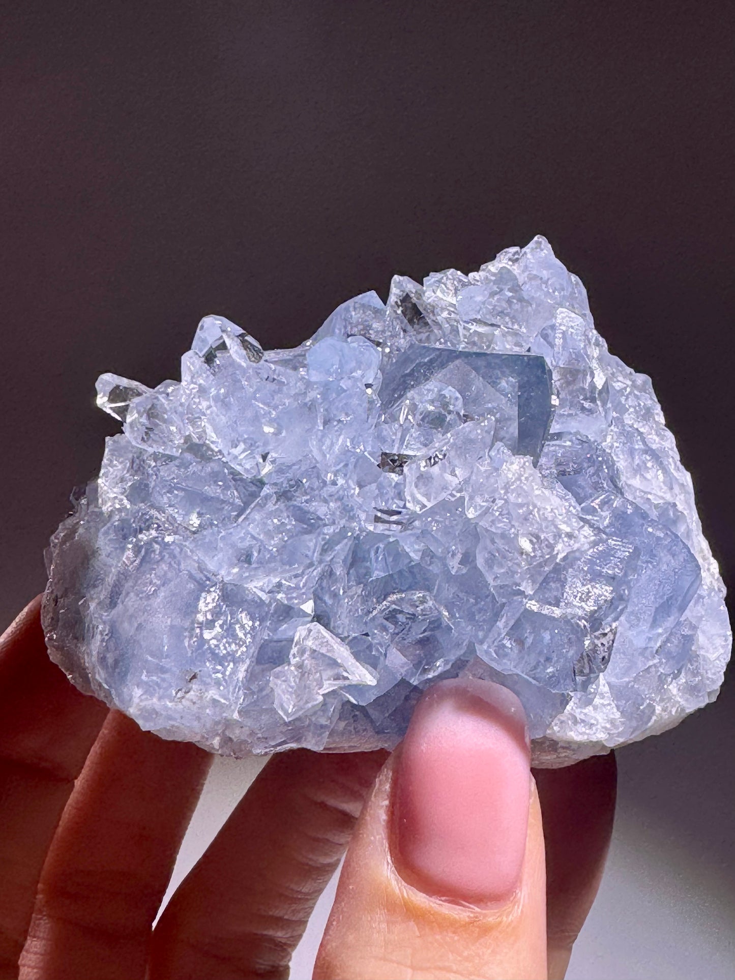 Celestin Stufe aus Madagaskar 💎 Klar & funkelnd – Kristall mit transparenten Spitzen ✨ Museumsqualität 7.7cm