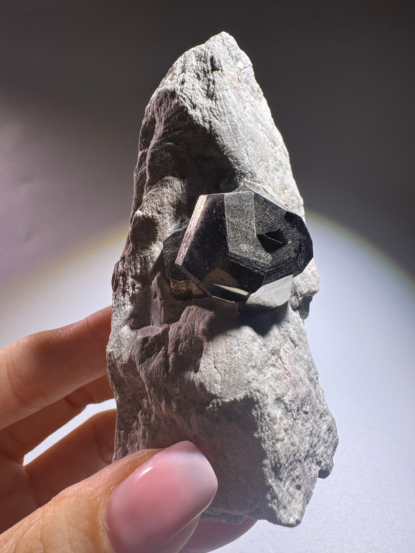 Seltene Pyrit-Formation auf Matrix aus Spanien – Naturwunder in Goldglanz