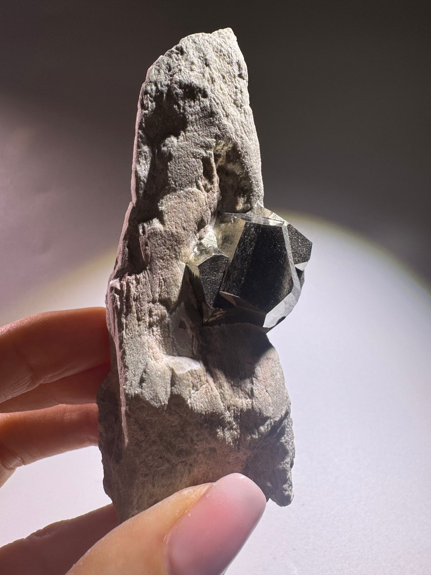 Seltene Pyrit-Formation auf Matrix aus Spanien – Naturwunder in Goldglanz