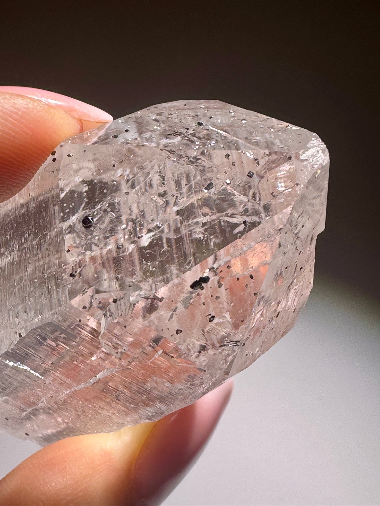 Himalaya-Quarz 7.2 cm – extra klarer Kristall in Museumsqualität aus Pakistan 💎