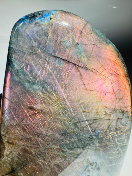 Exklusive riesige Labradorit Freeform in Pink | Seltene Rarität