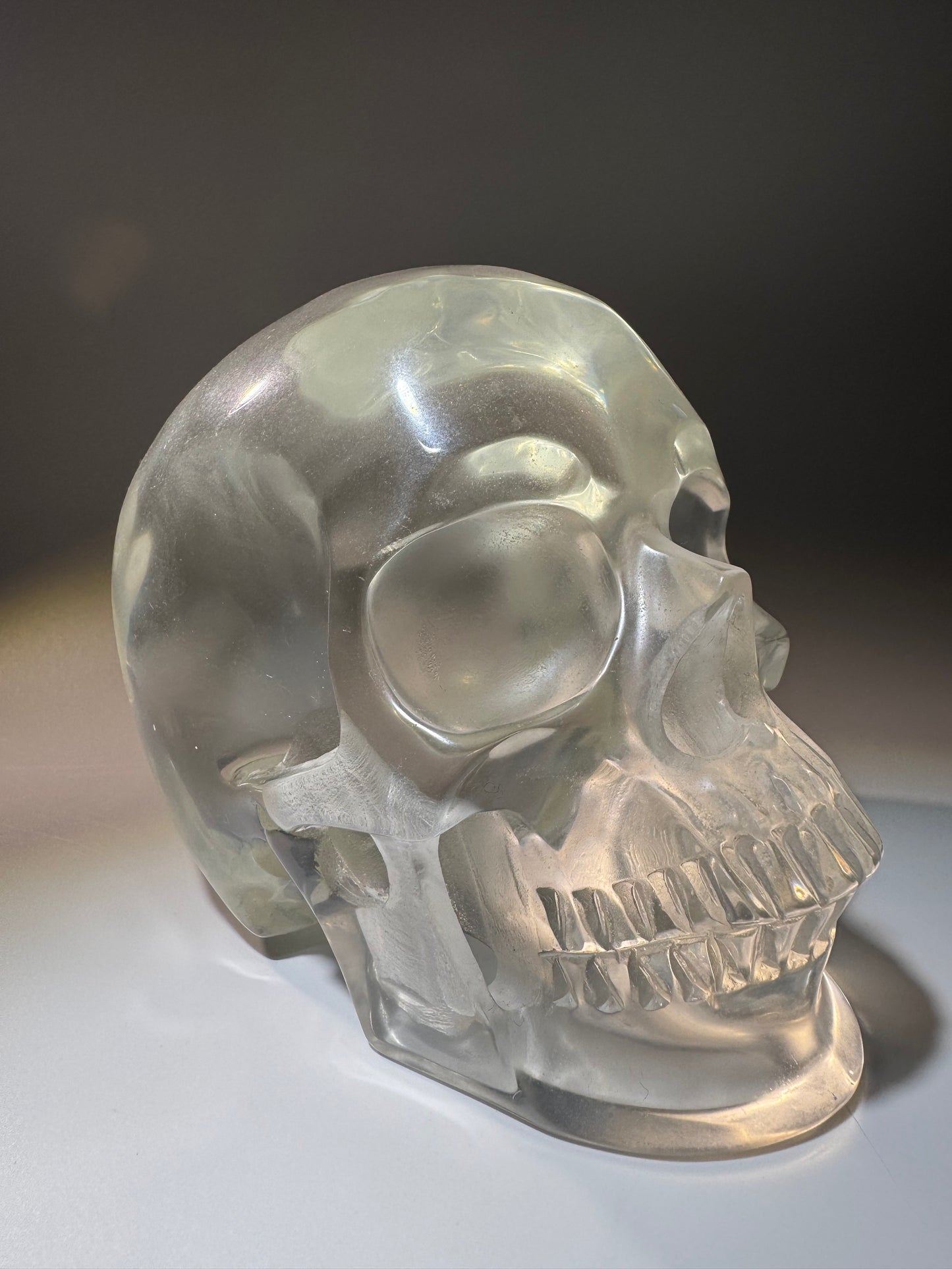 Super realistic skull 12cm - 1475g