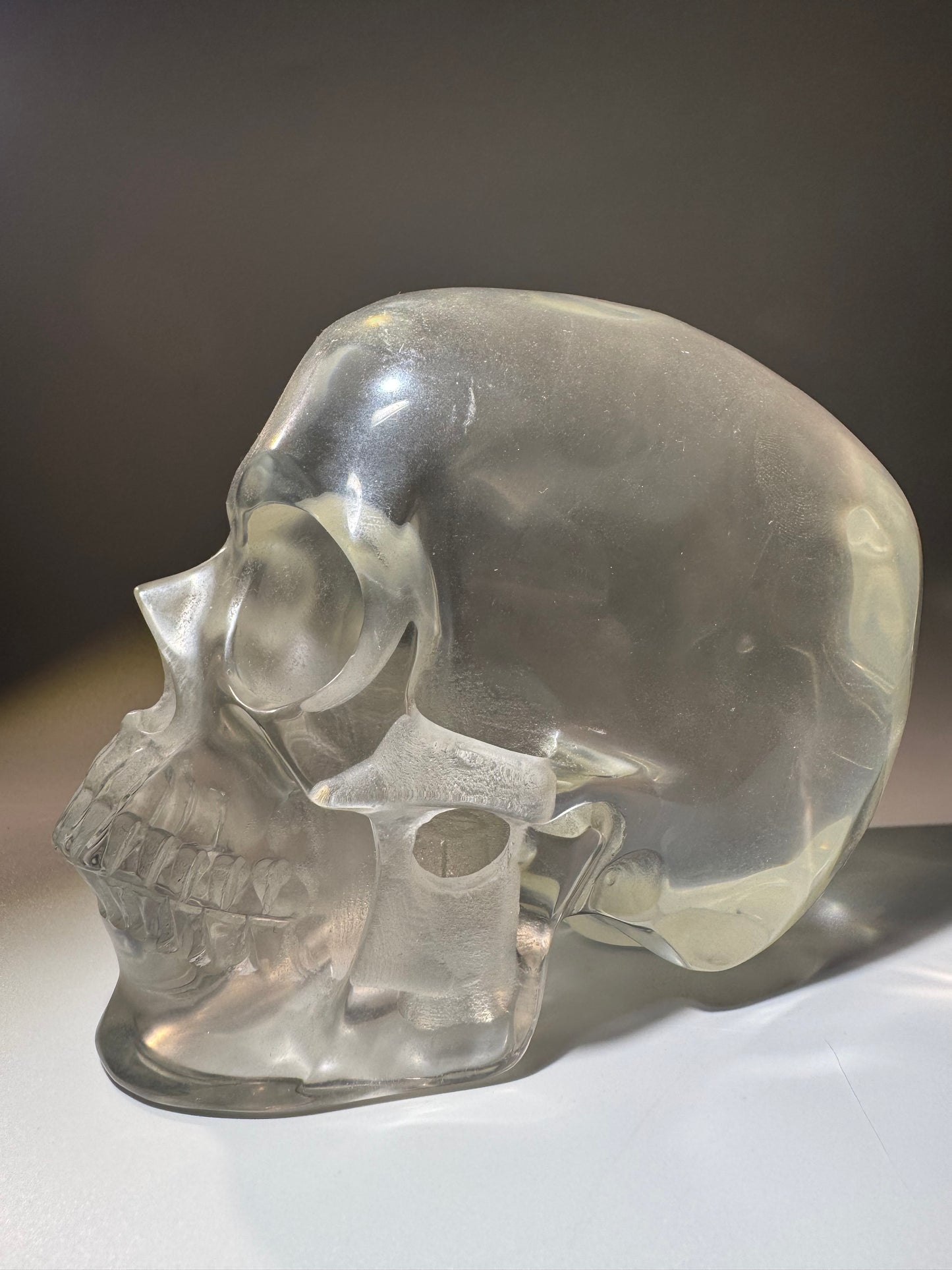 Super realistic skull 12cm - 1475g