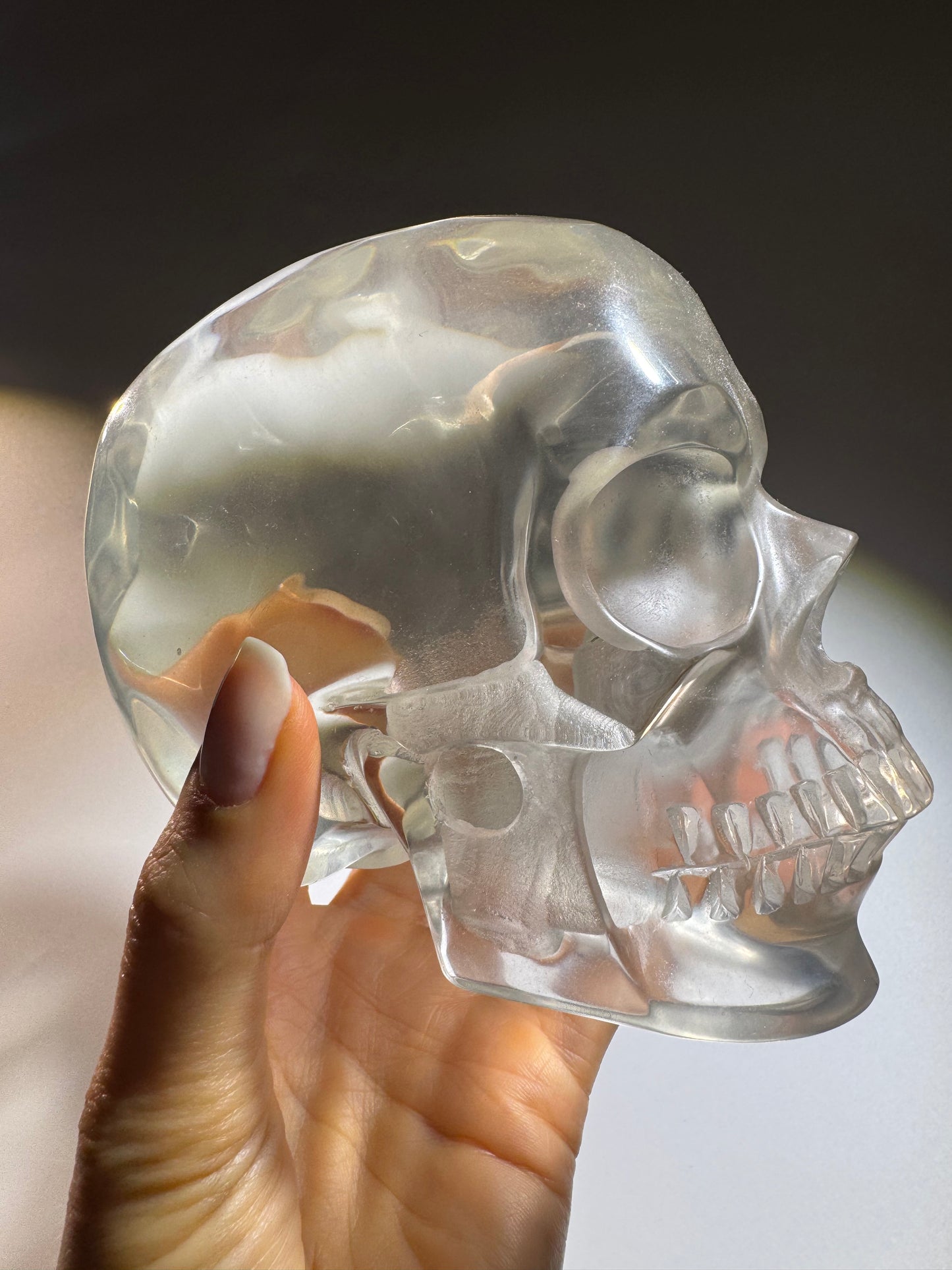 Super realistic skull 12cm - 1475g