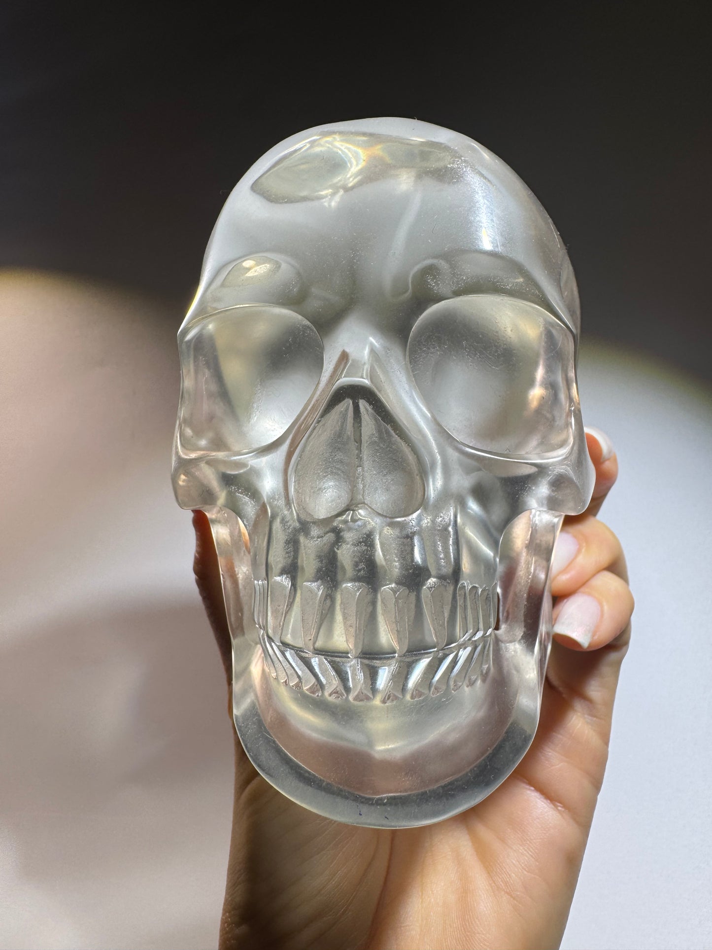 Super realistic skull 12cm - 1475g