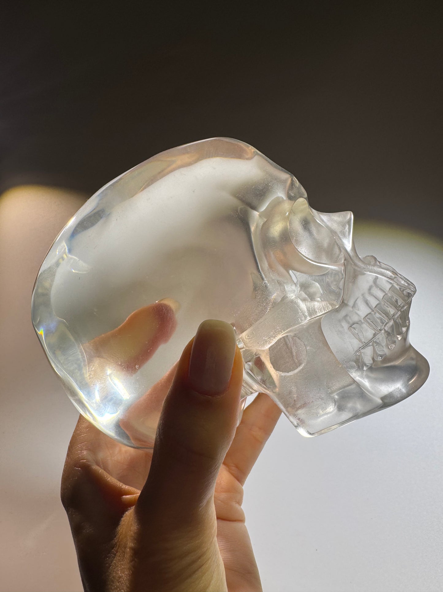 Super realistic skull 12cm - 1475g