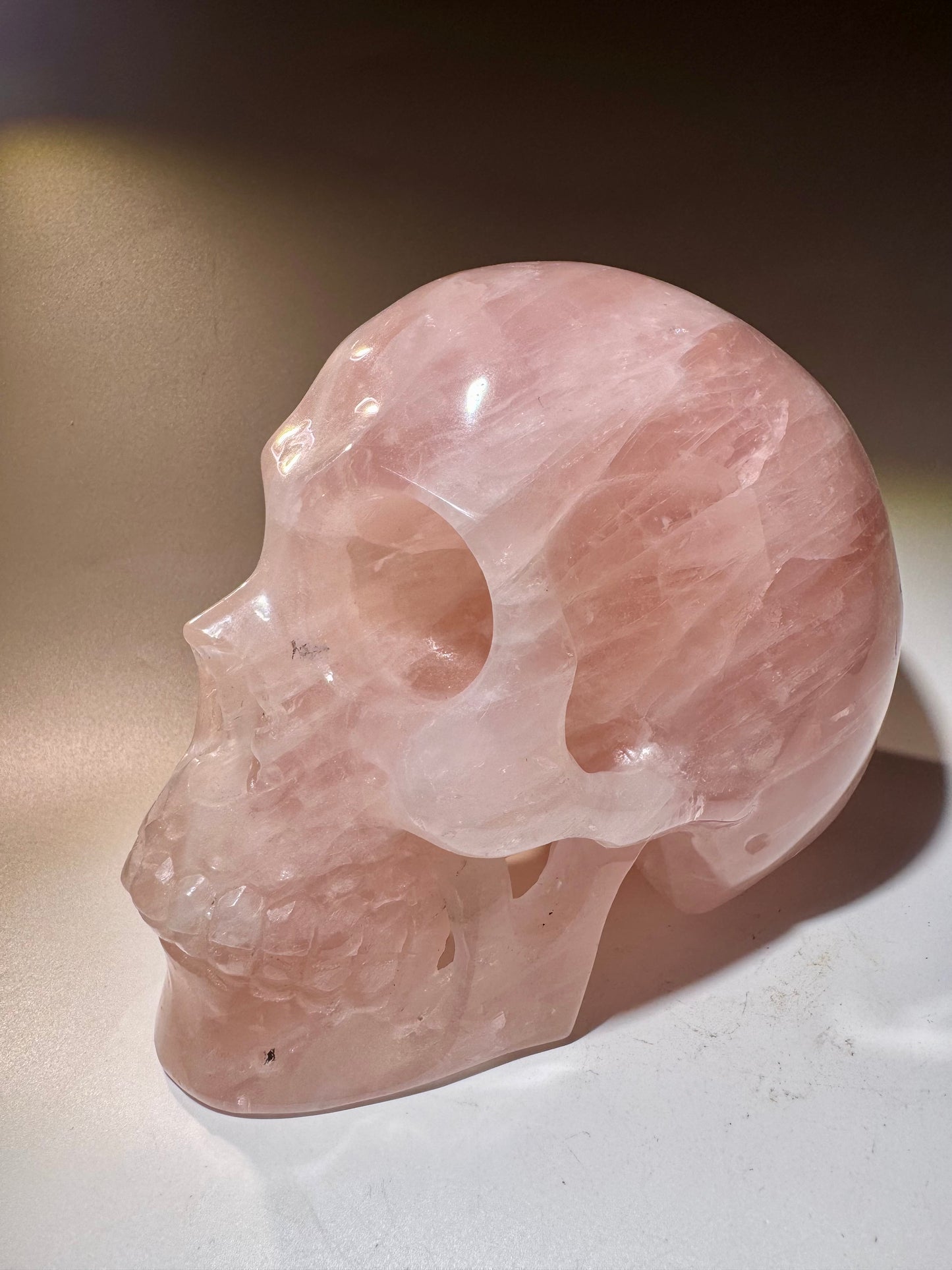 Super realistic skull 12cm - 1475g