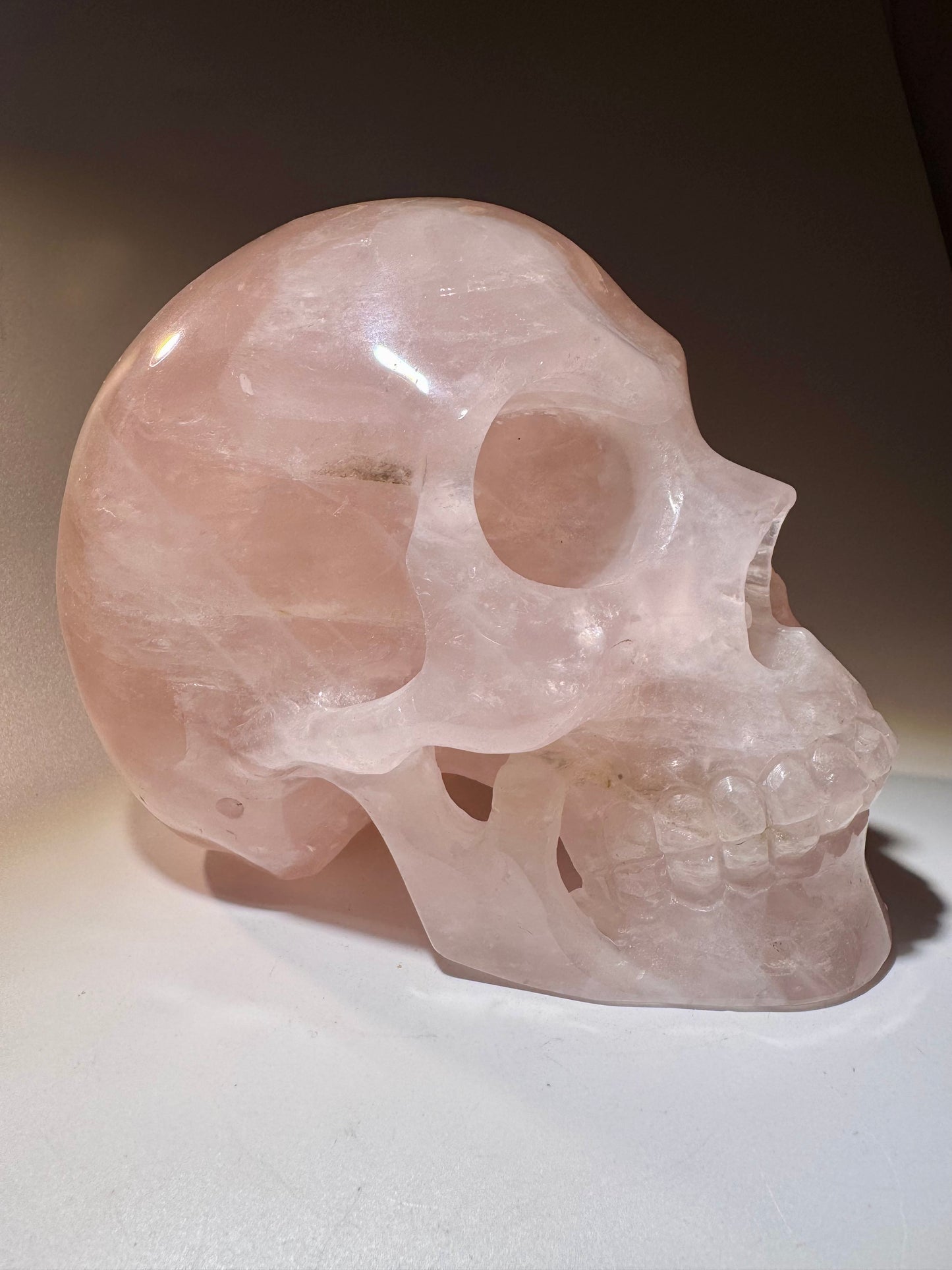Super realistic skull 12cm - 1475g