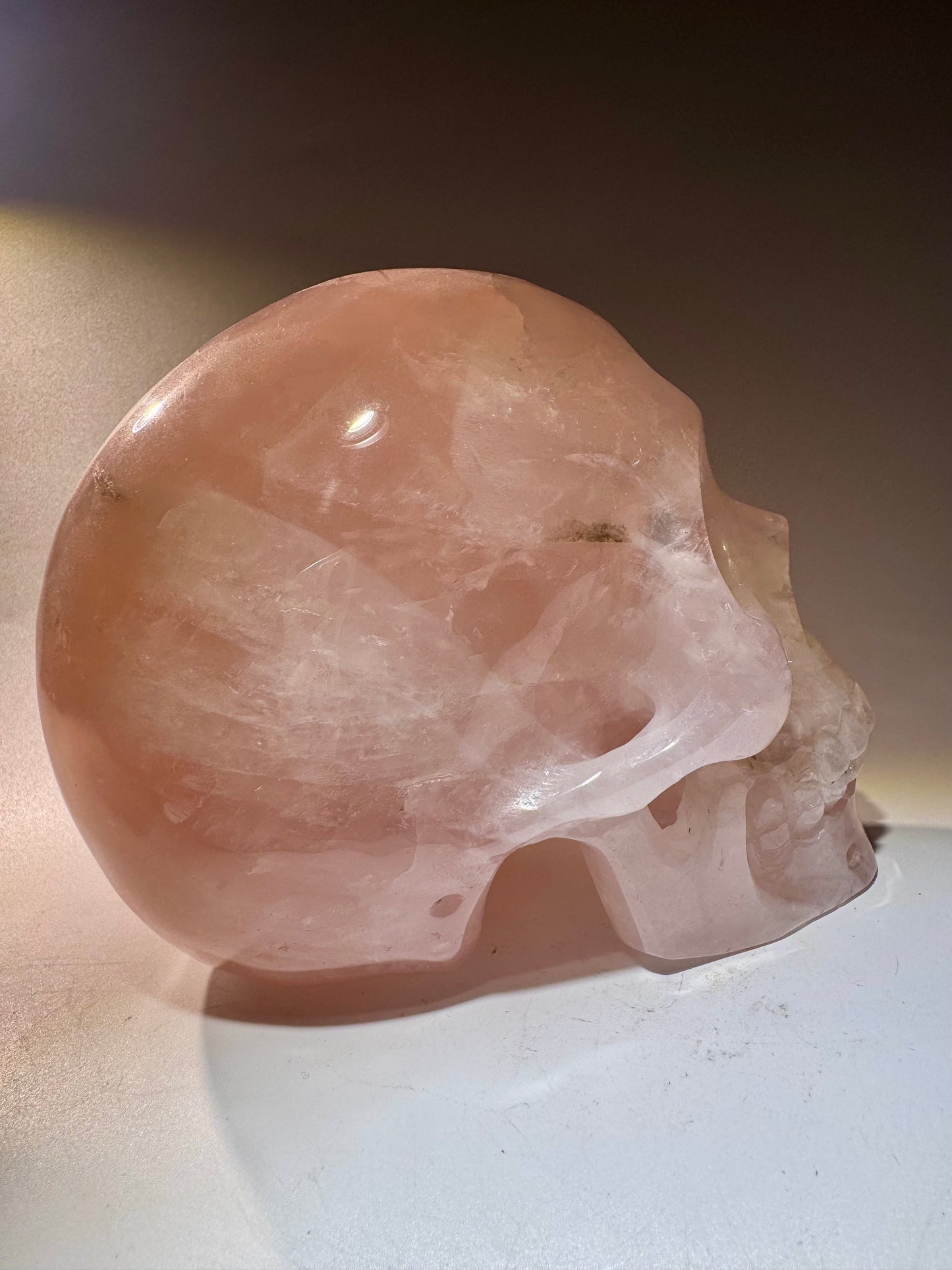 Super realistic skull 12cm - 1475g