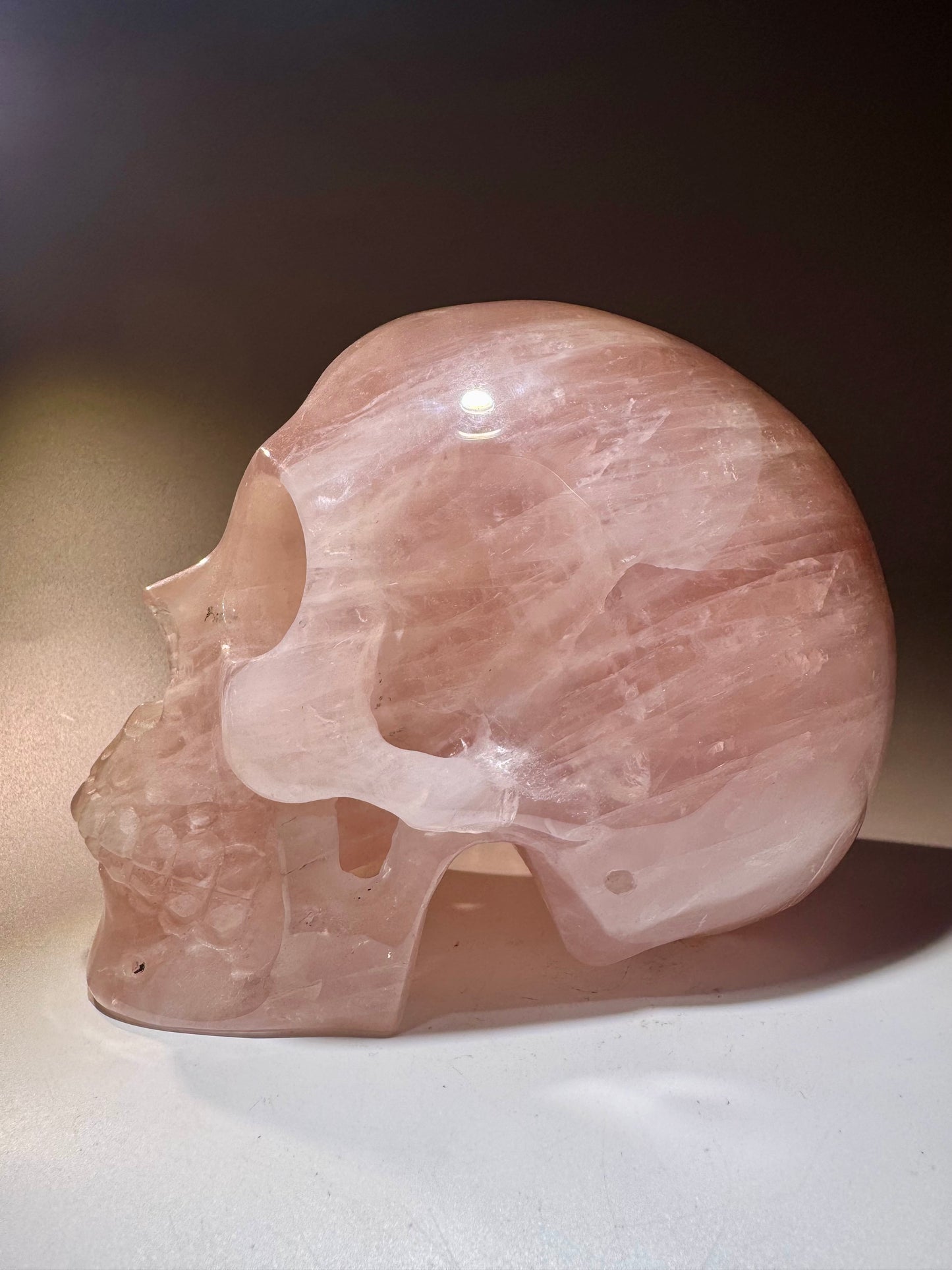 Super realistic skull 12cm - 1475g