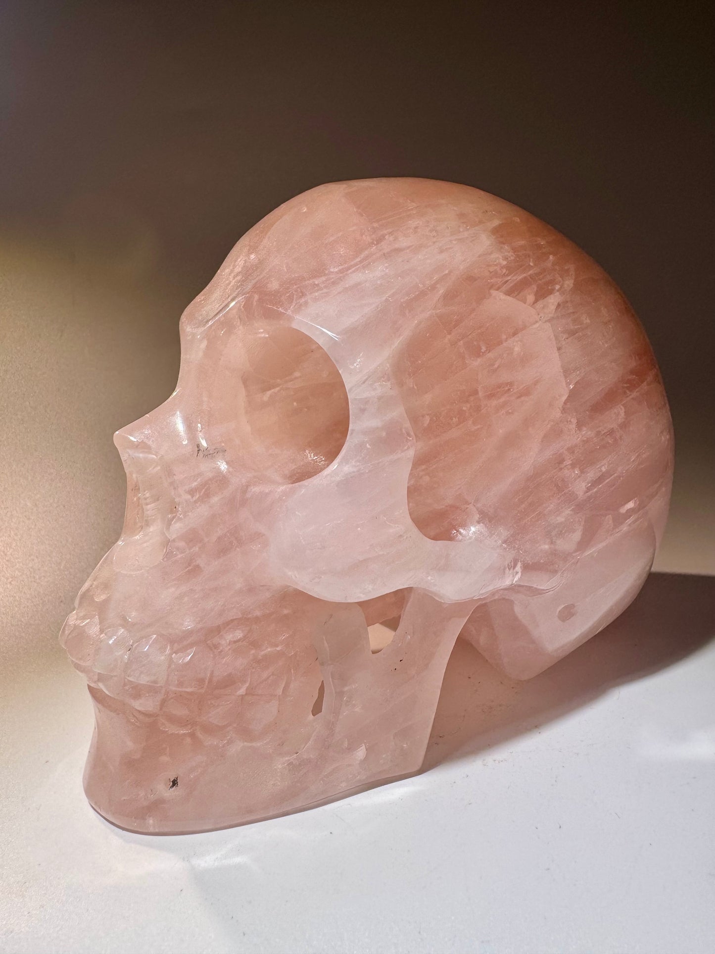 Super realistic skull 12cm - 1475g