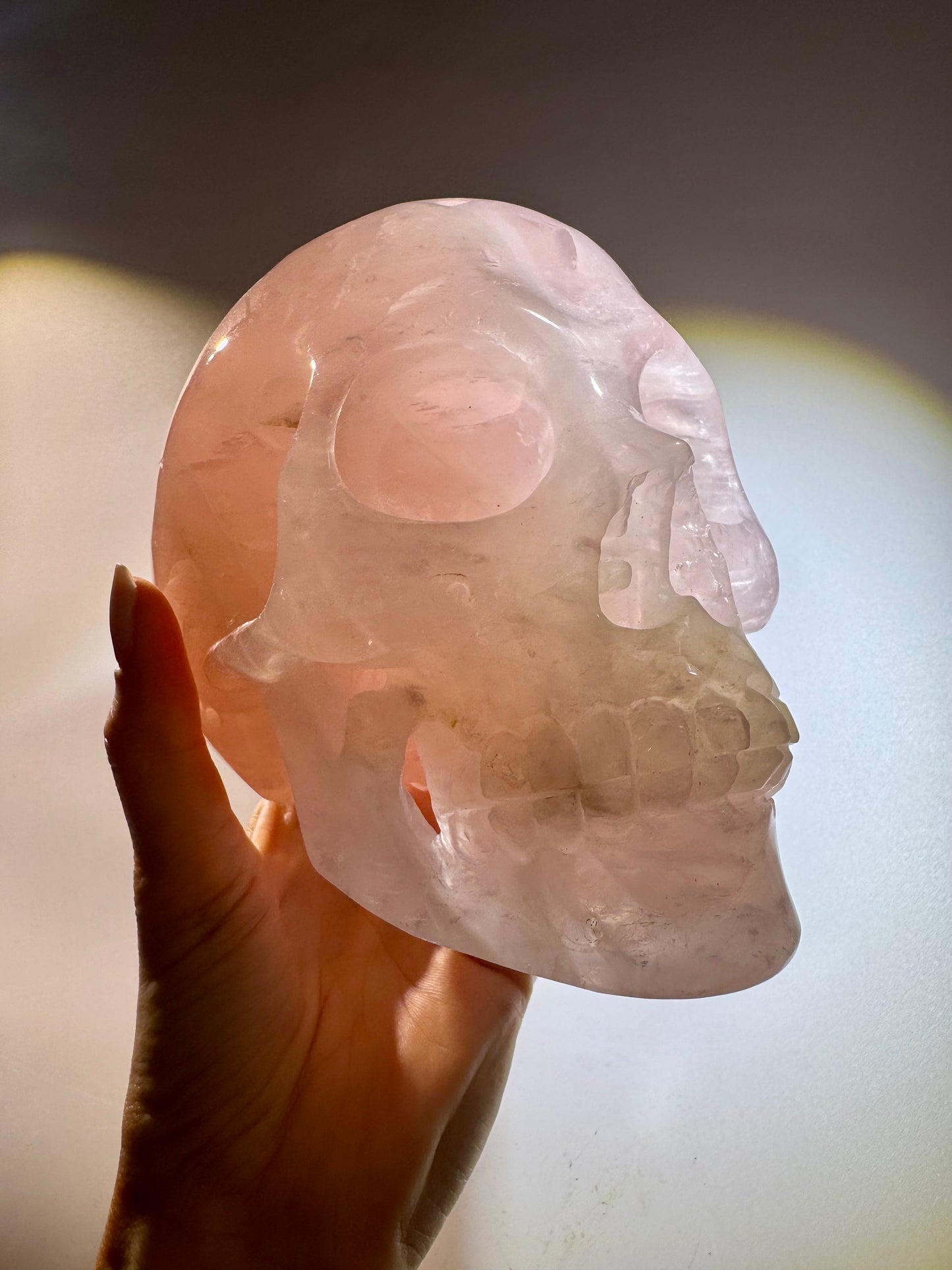 Super realistic skull 12cm - 1475g