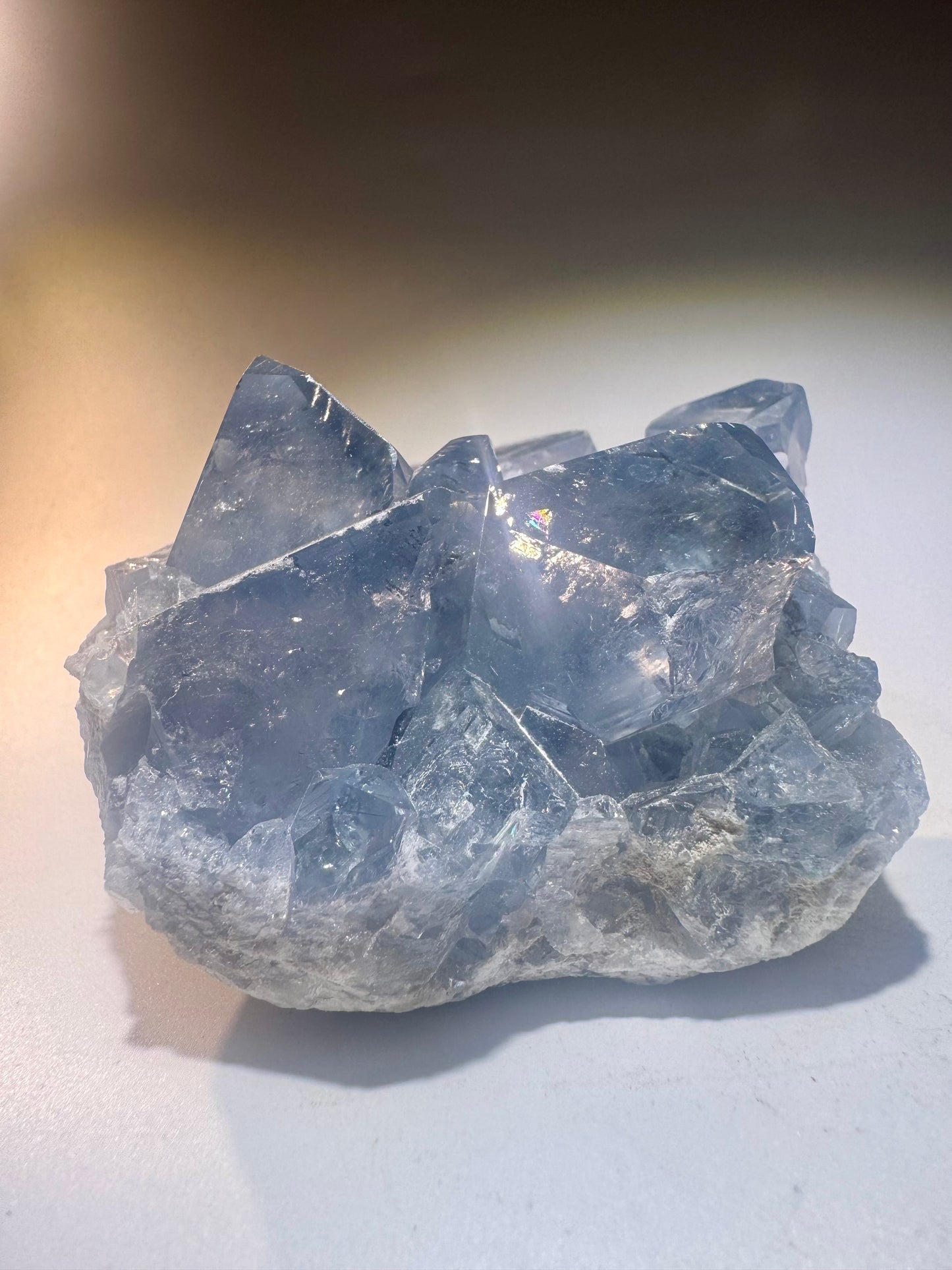 Celestin Stufe aus Madagaskar 💎 Klar & funkelnd – extra grosse Kristallspitzen ✨ Museumsqualität 7.5cm