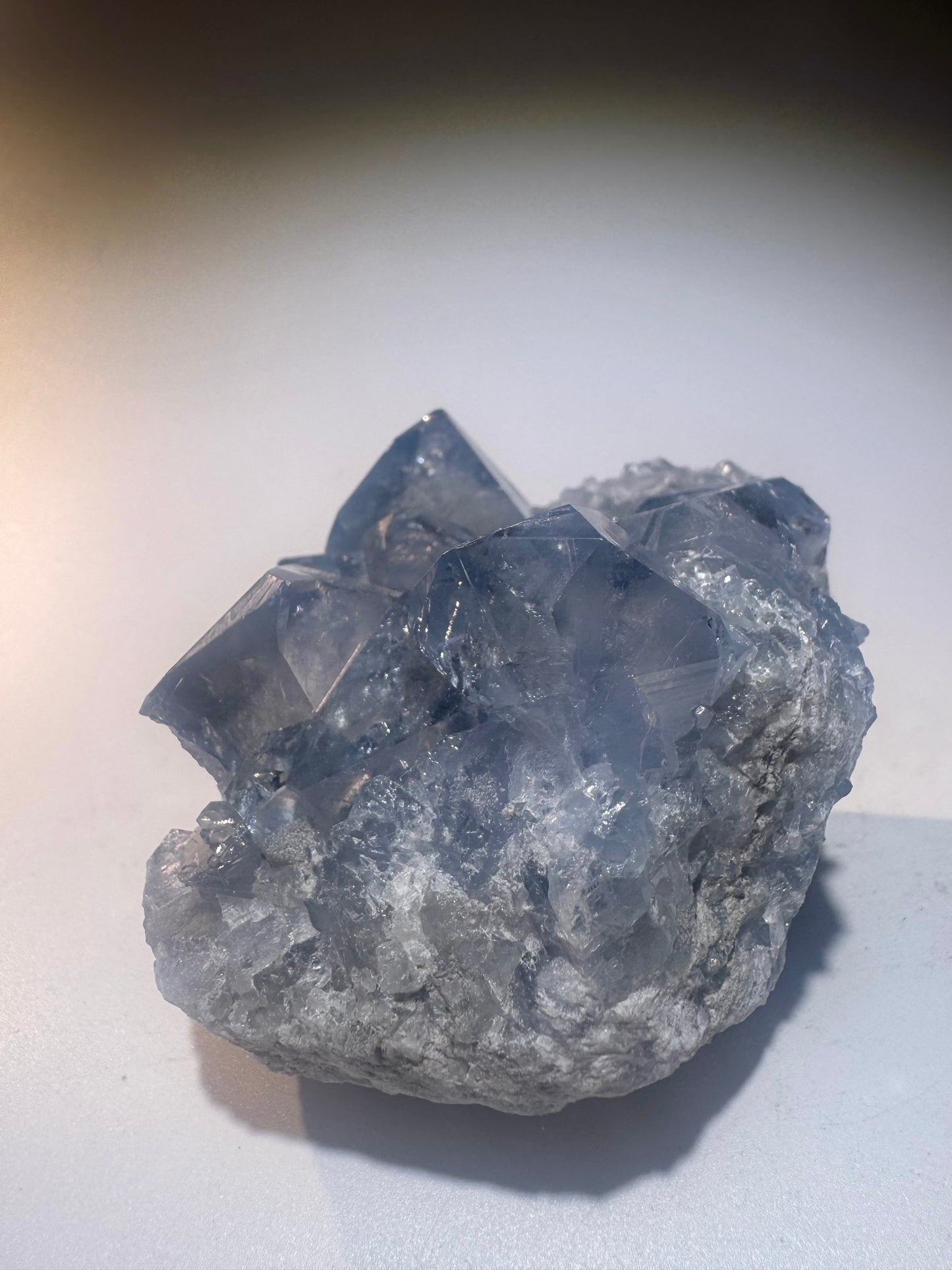 Celestin Stufe aus Madagaskar 💎 Klar & funkelnd – extra grosse Kristallspitzen ✨ Museumsqualität 7.5cm