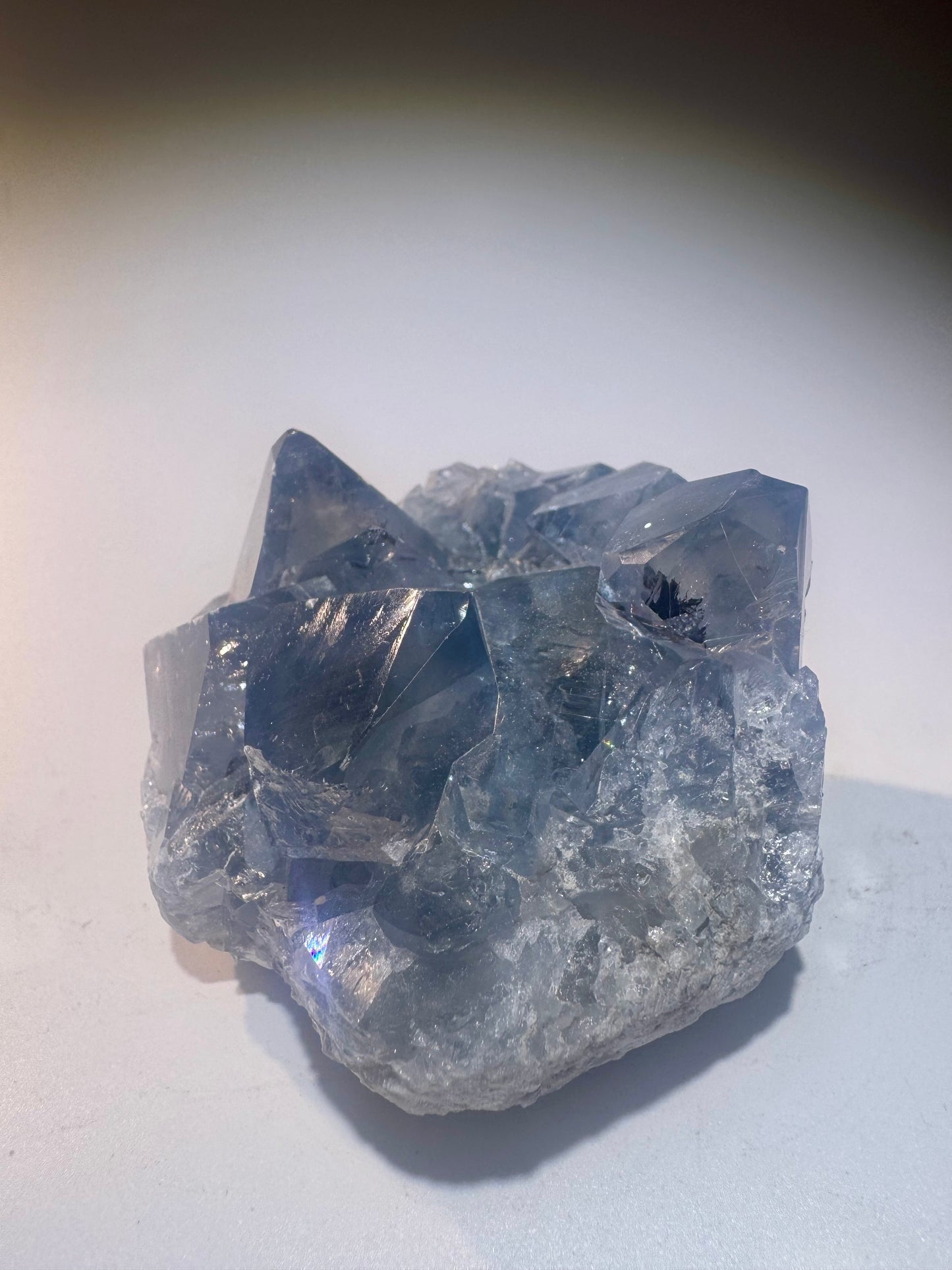 Celestin Stufe aus Madagaskar 💎 Klar & funkelnd – extra grosse Kristallspitzen ✨ Museumsqualität 7.5cm