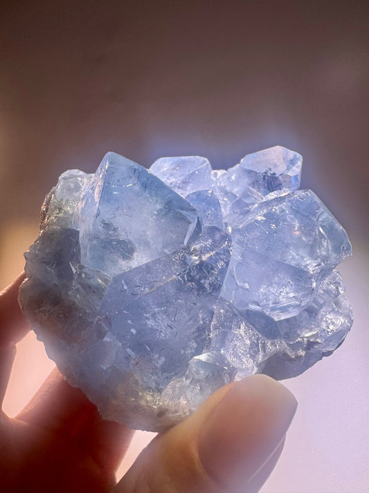 Celestin Stufe aus Madagaskar 💎 Klar & funkelnd – extra grosse Kristallspitzen ✨ Museumsqualität 7.5cm