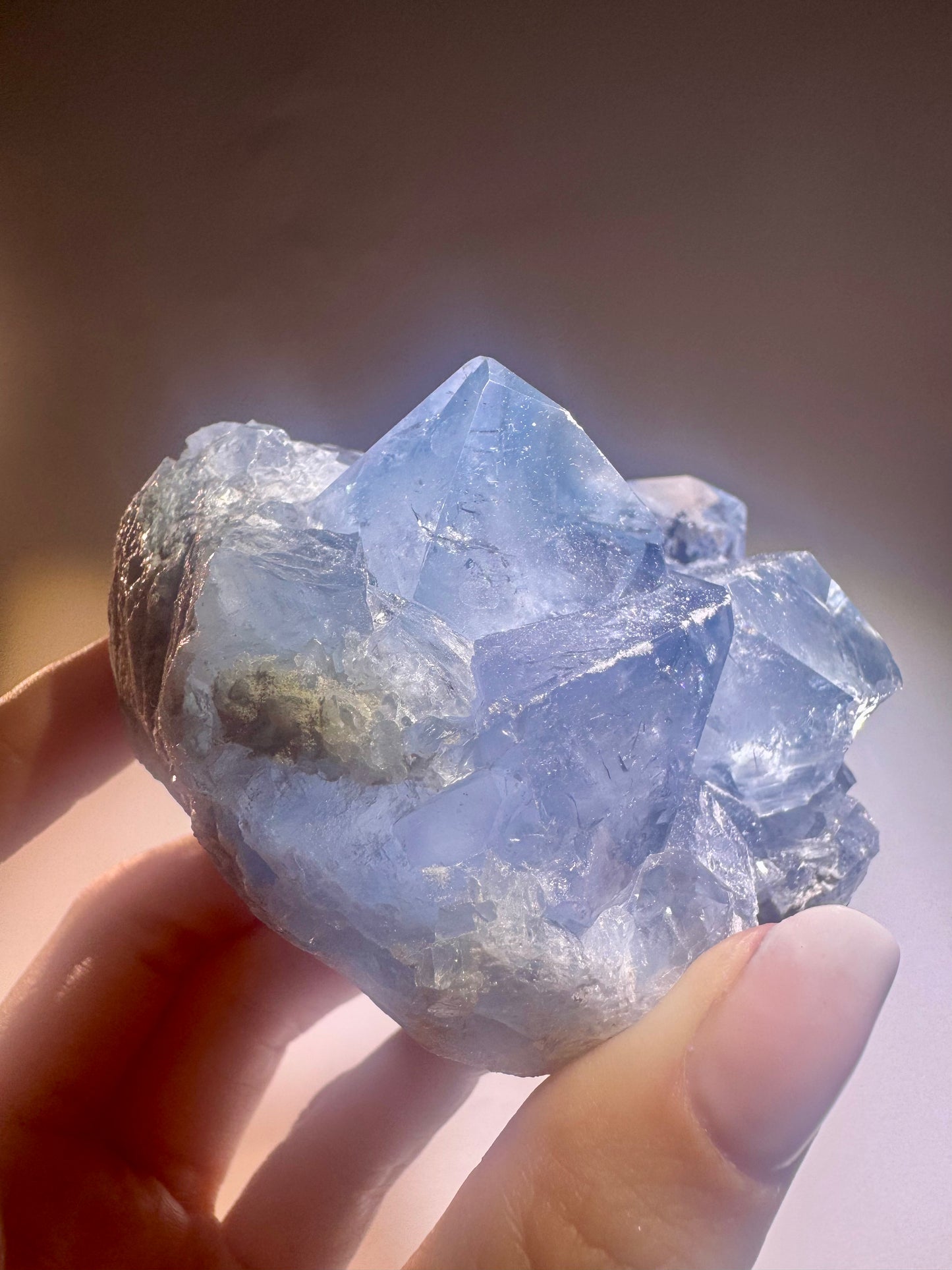 Celestin Stufe aus Madagaskar 💎 Klar & funkelnd – extra grosse Kristallspitzen ✨ Museumsqualität 7.5cm