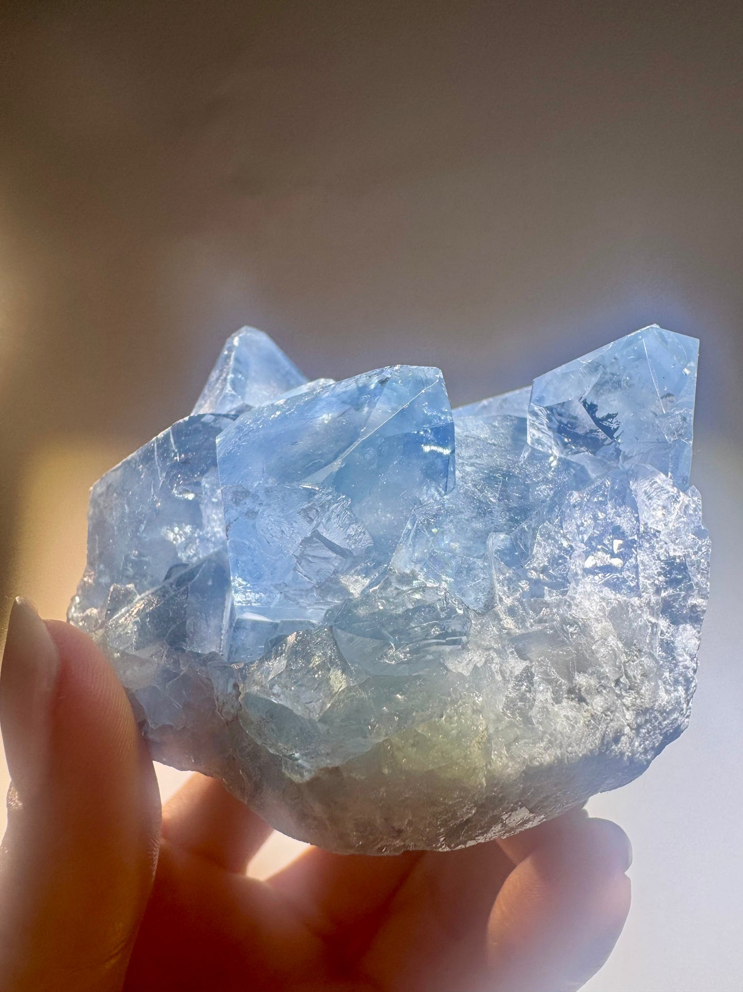 Celestin Stufe aus Madagaskar 💎 Klar & funkelnd – extra grosse Kristallspitzen ✨ Museumsqualität 7.5cm