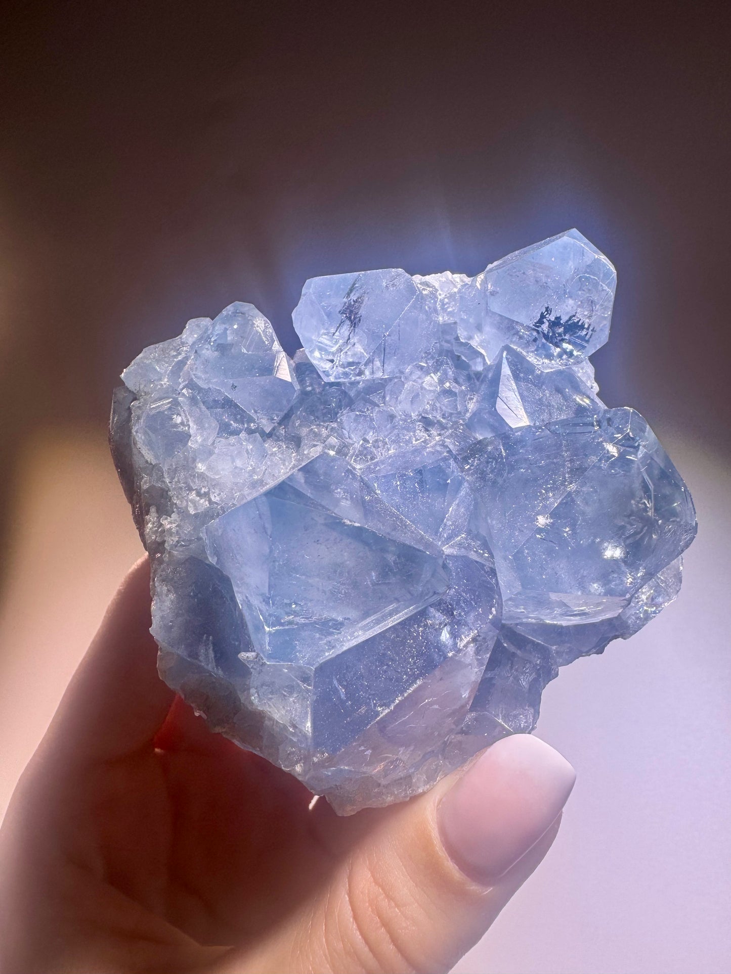 Celestin Stufe aus Madagaskar 💎 Klar & funkelnd – extra grosse Kristallspitzen ✨ Museumsqualität 7.5cm