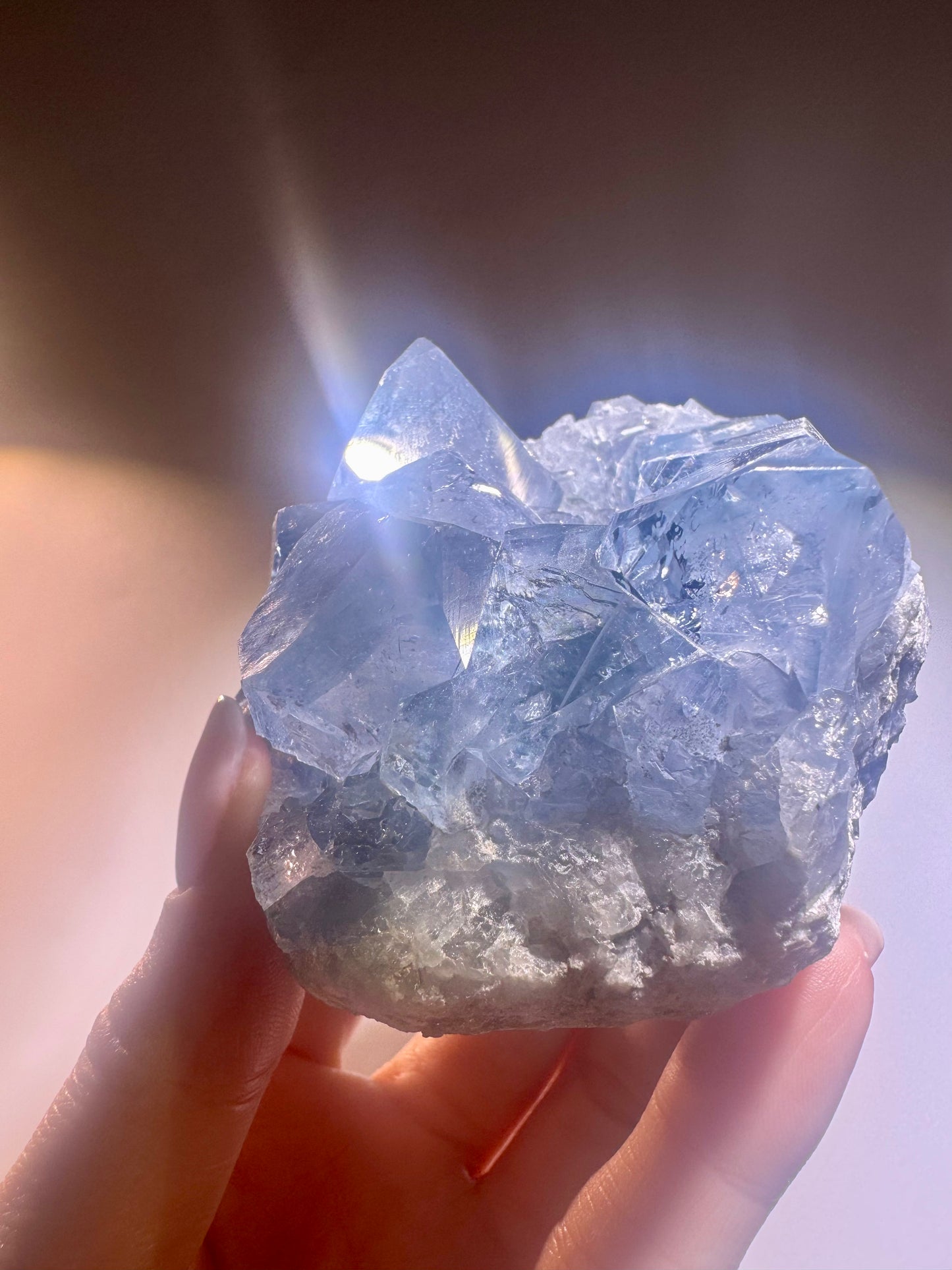 Celestin Stufe aus Madagaskar 💎 Klar & funkelnd – extra grosse Kristallspitzen ✨ Museumsqualität 7.5cm
