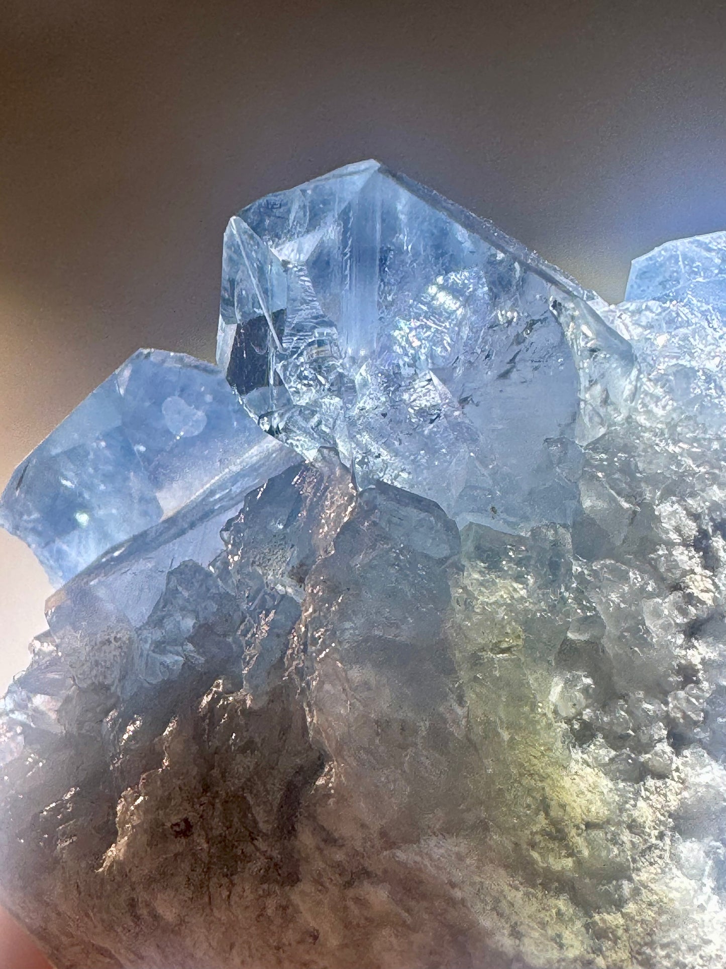 Celestin Stufe aus Madagaskar 💎 Klar & funkelnd – extra grosse Kristallspitzen ✨ Museumsqualität 7.5cm