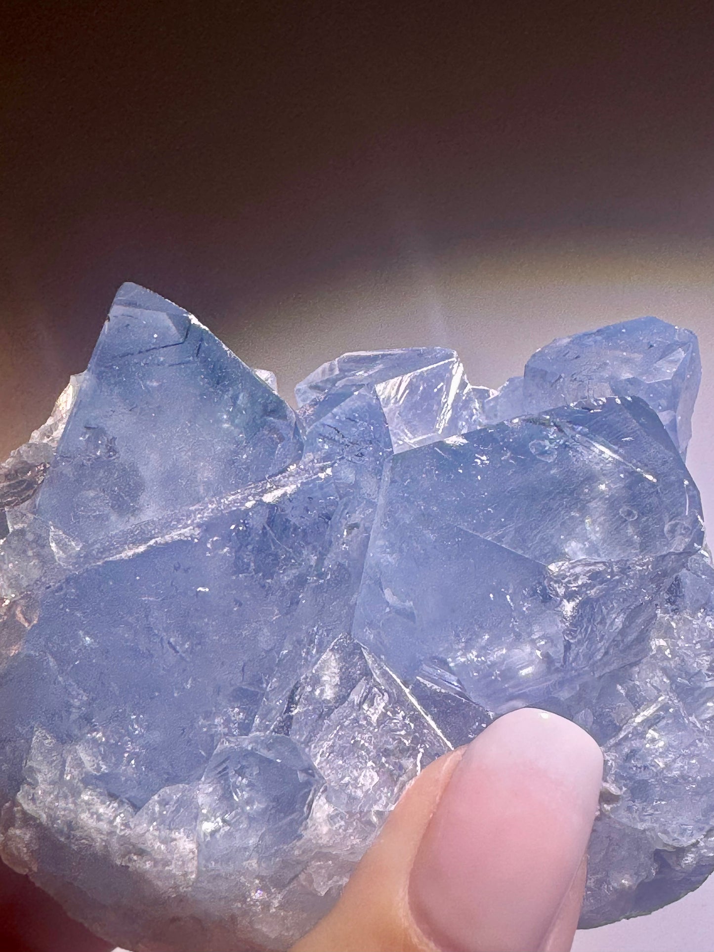 Celestin Stufe aus Madagaskar 💎 Klar & funkelnd – extra grosse Kristallspitzen ✨ Museumsqualität 7.5cm
