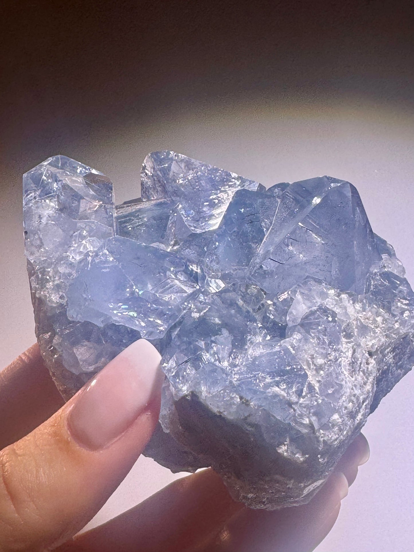 Celestin Stufe aus Madagaskar 💎 Klar & funkelnd – extra grosse Kristallspitzen ✨ Museumsqualität 7.5cm