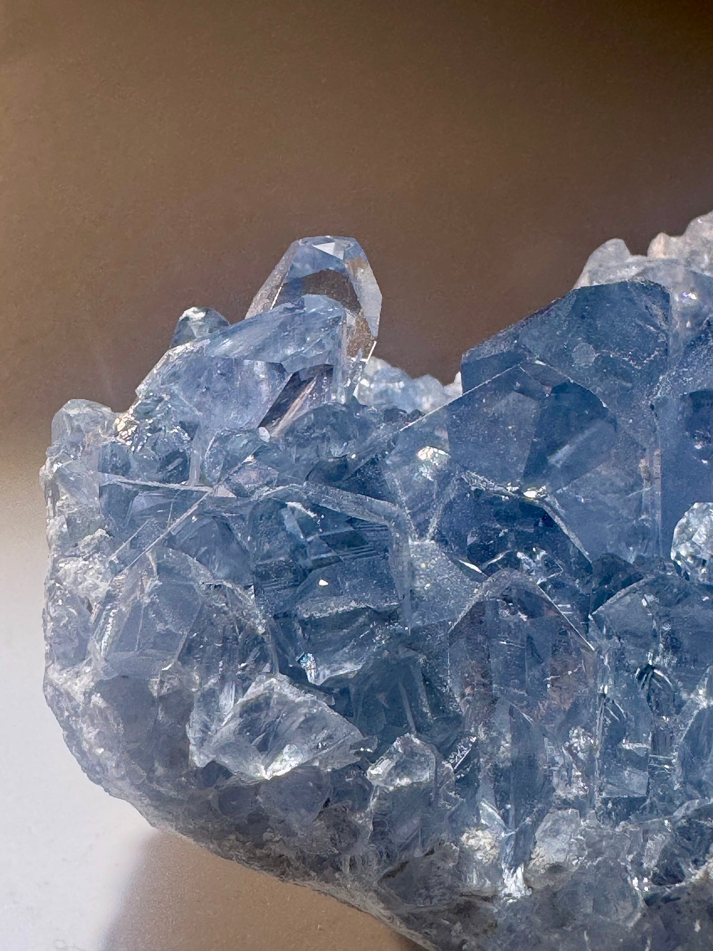 Celestin Stufe aus Madagaskar 💎 Klar & funkelnd ✨ Museumsqualität 10.2cm