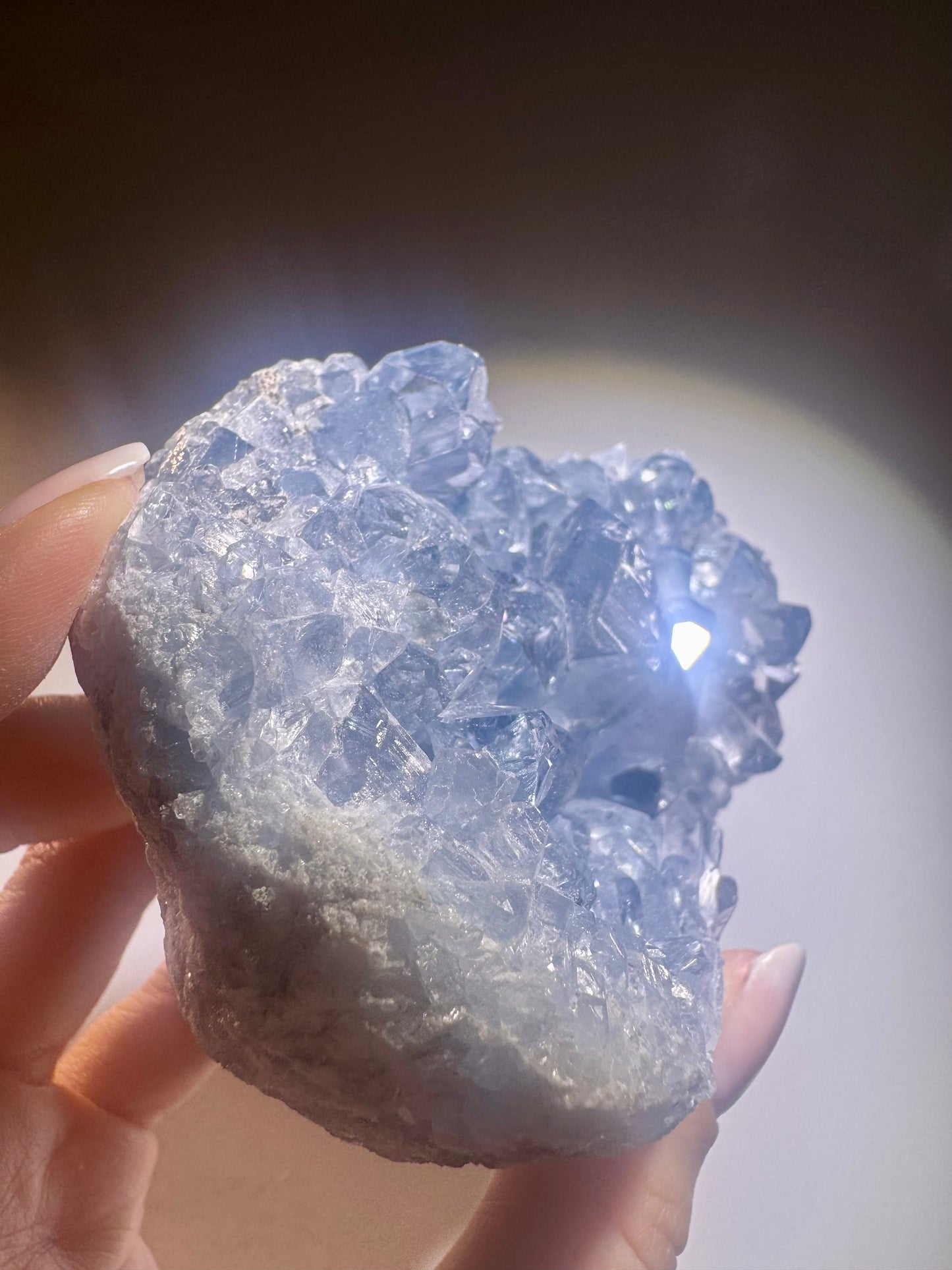 Celestin Stufe aus Madagaskar 💎 Klar & funkelnd ✨ Museumsqualität 10.2cm